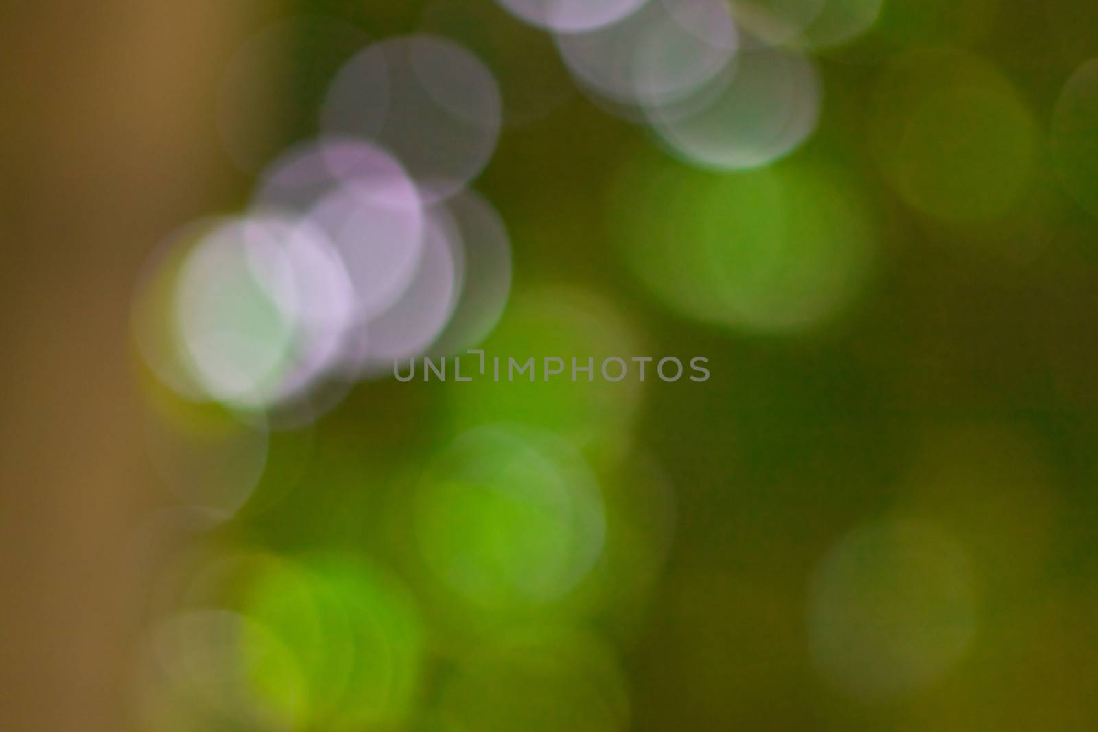 bokeh blurred out of focus background  by nikky1972