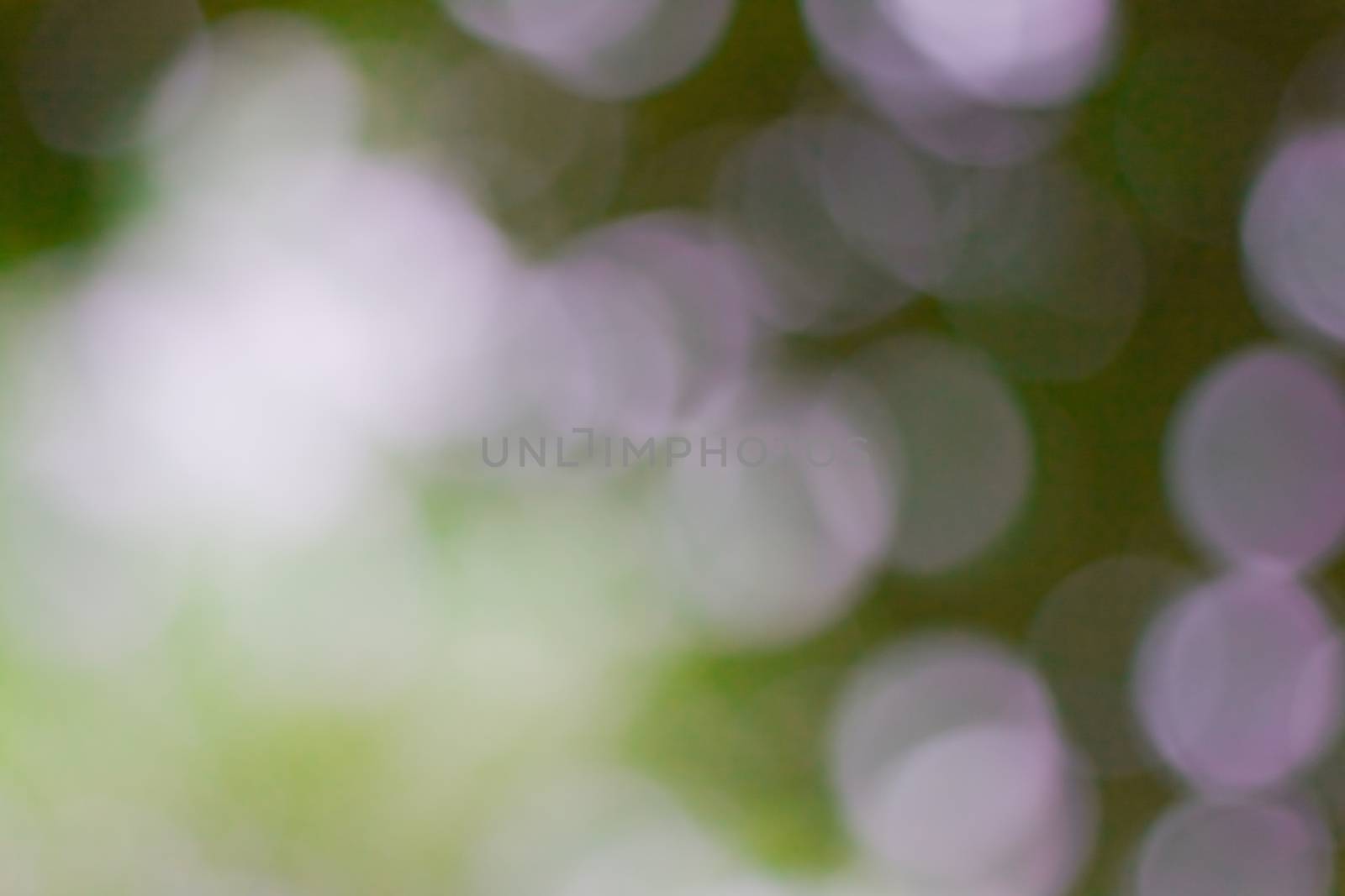 bokeh blurred out of focus background