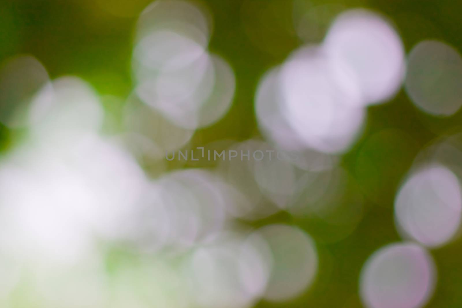 bokeh blurred out of focus background  by nikky1972