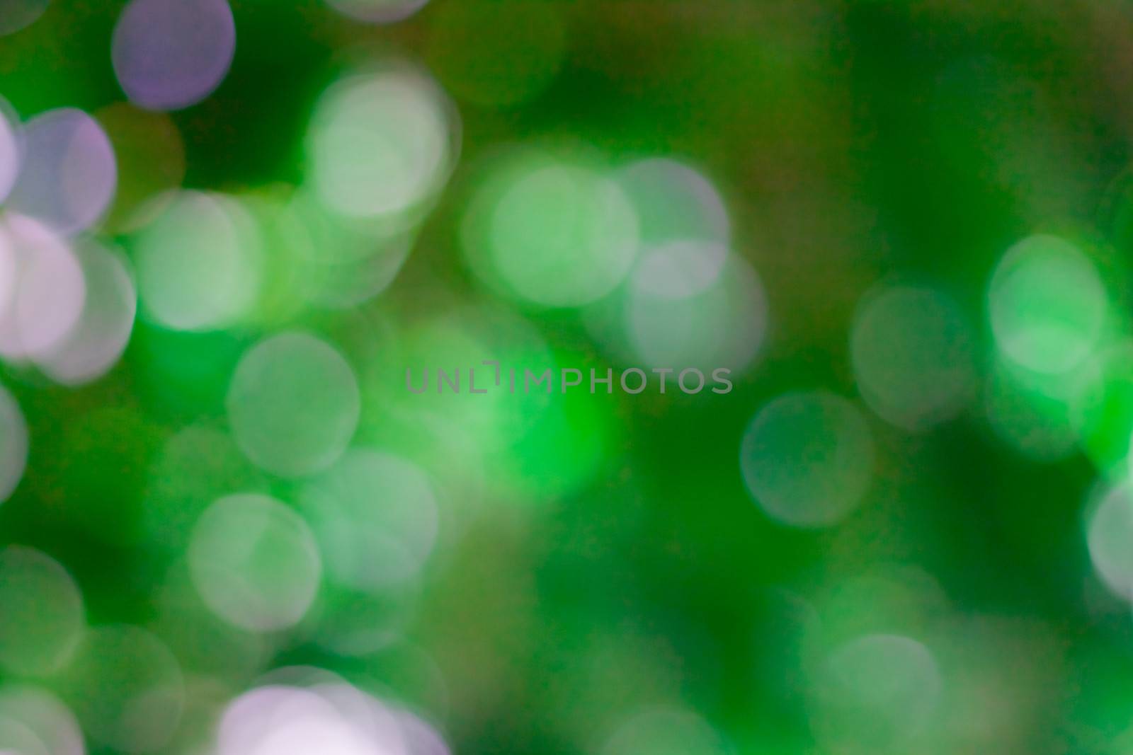 bokeh blurred out of focus background  by nikky1972