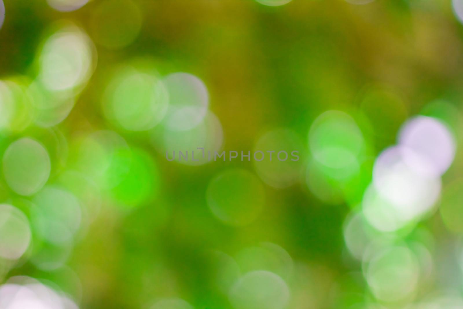 bokeh blurred out of focus background  by nikky1972