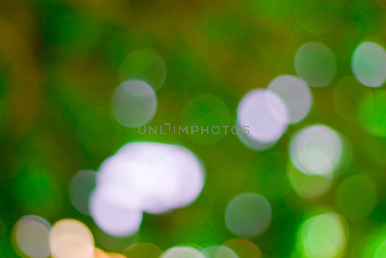 bokeh blurred out of focus background