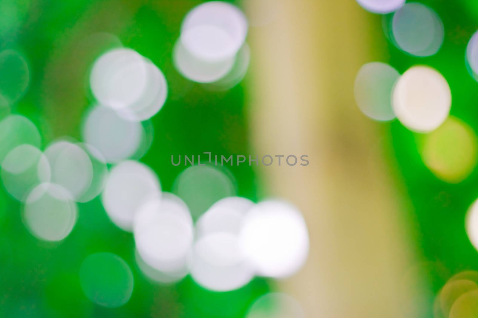 bokeh blurred out of focus background