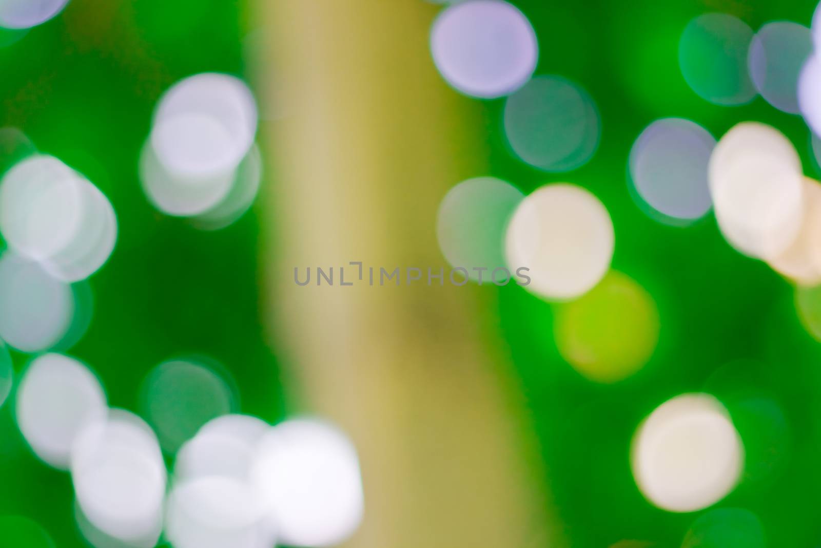 bokeh blurred out of focus background  by nikky1972