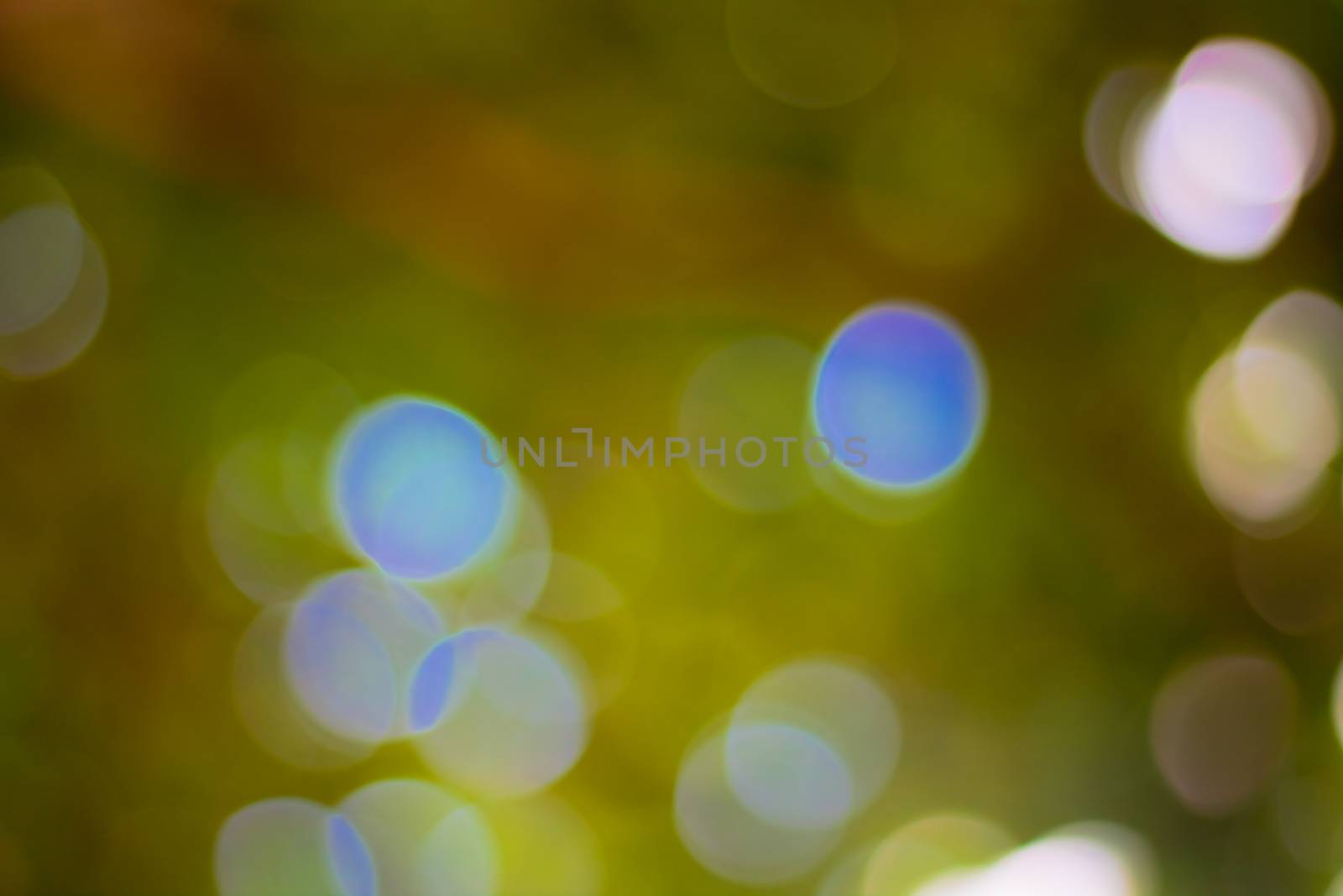 bokeh blurred out of focus background  by nikky1972