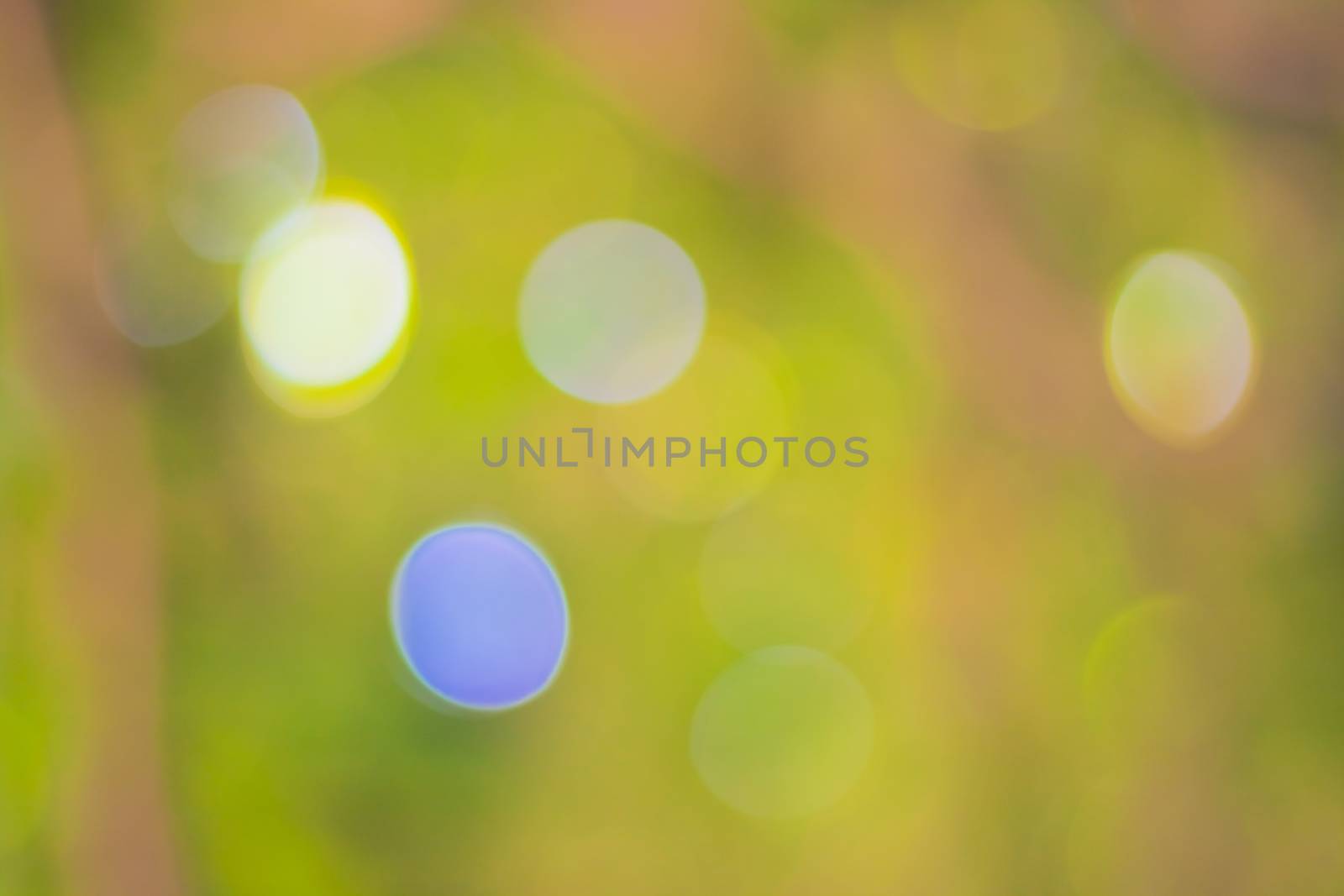 bokeh blurred out of focus background  by nikky1972