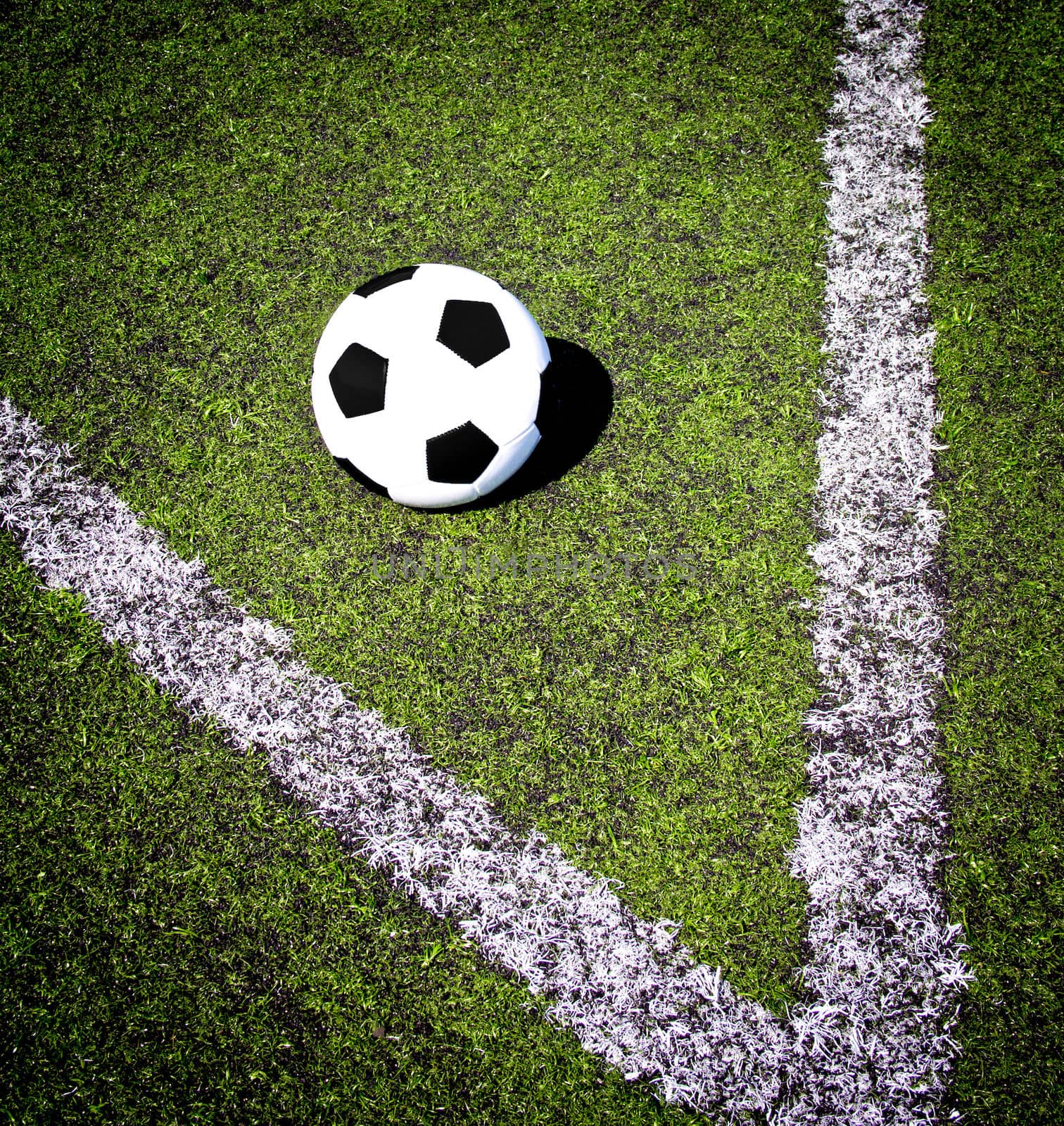 soccer ball in the grass