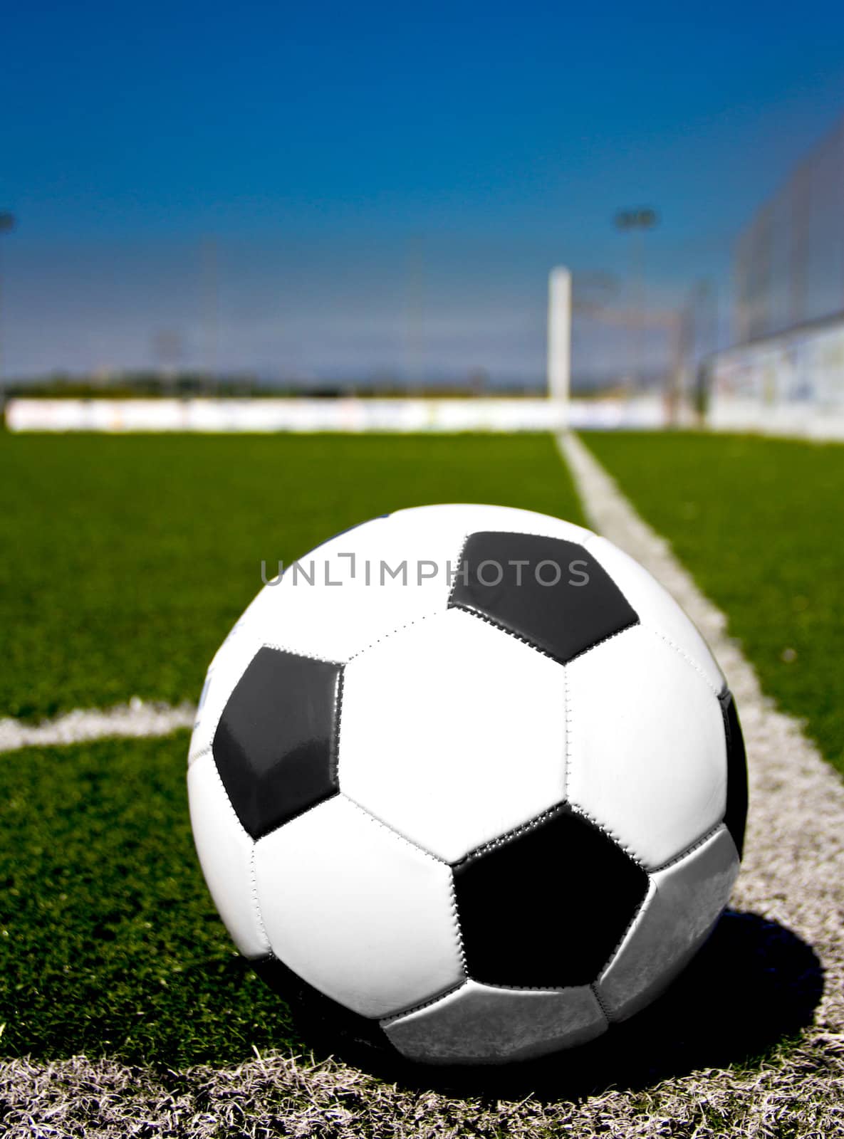 soccer ball in the grass
