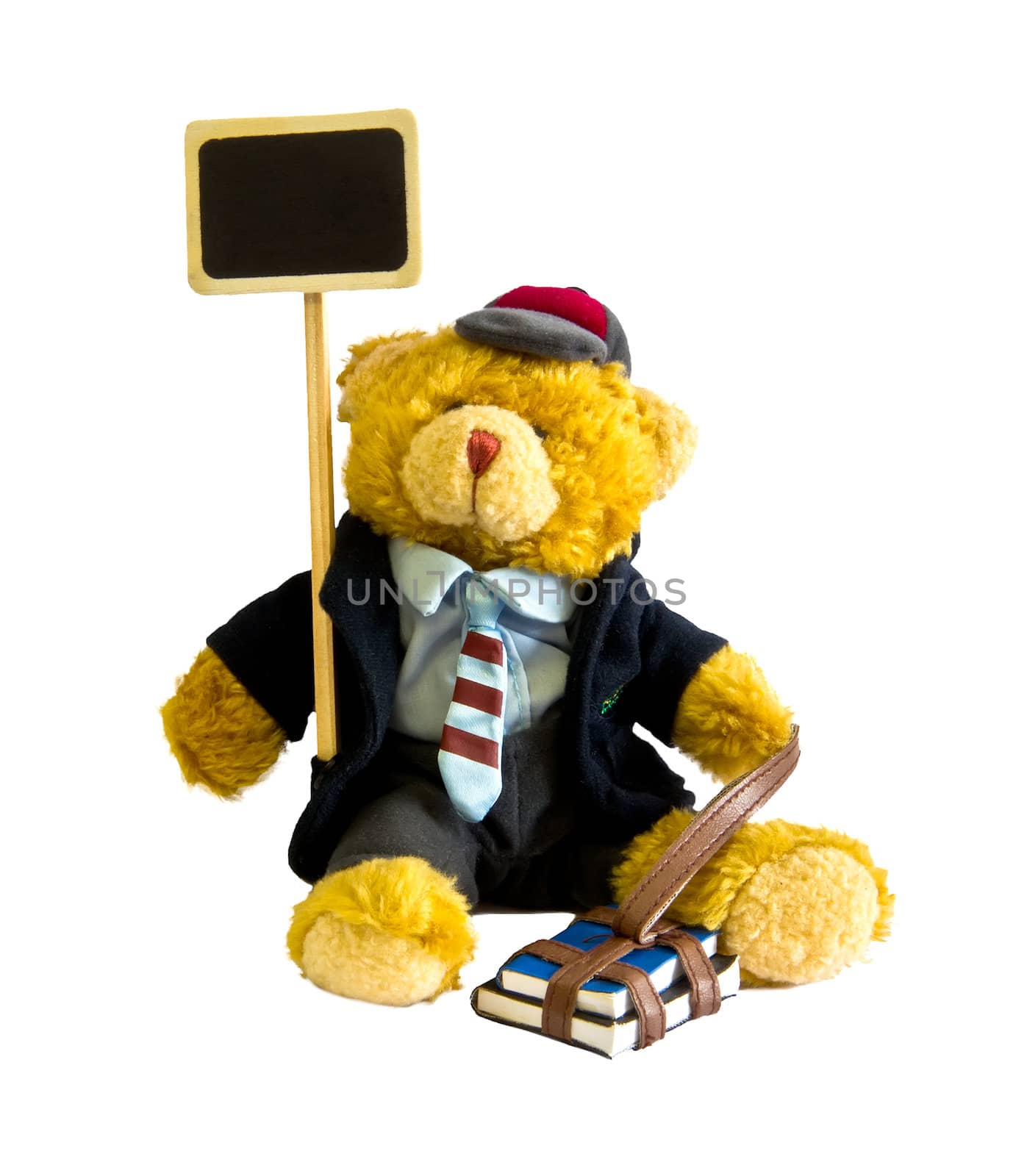 teddy bear with student clothes and books