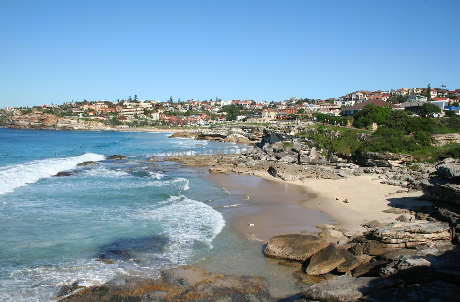 The view looking South towards Bronte from Tamarama in Sydney Australia.