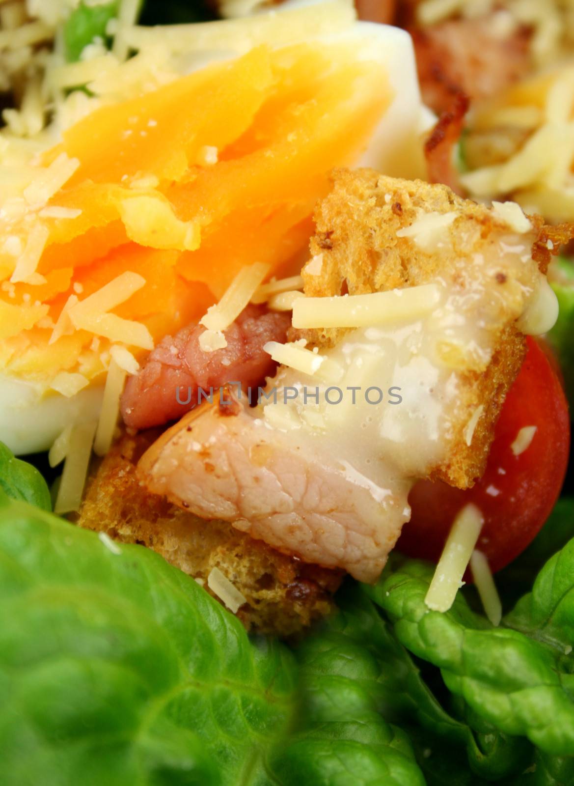 Caesar Salad by jabiru