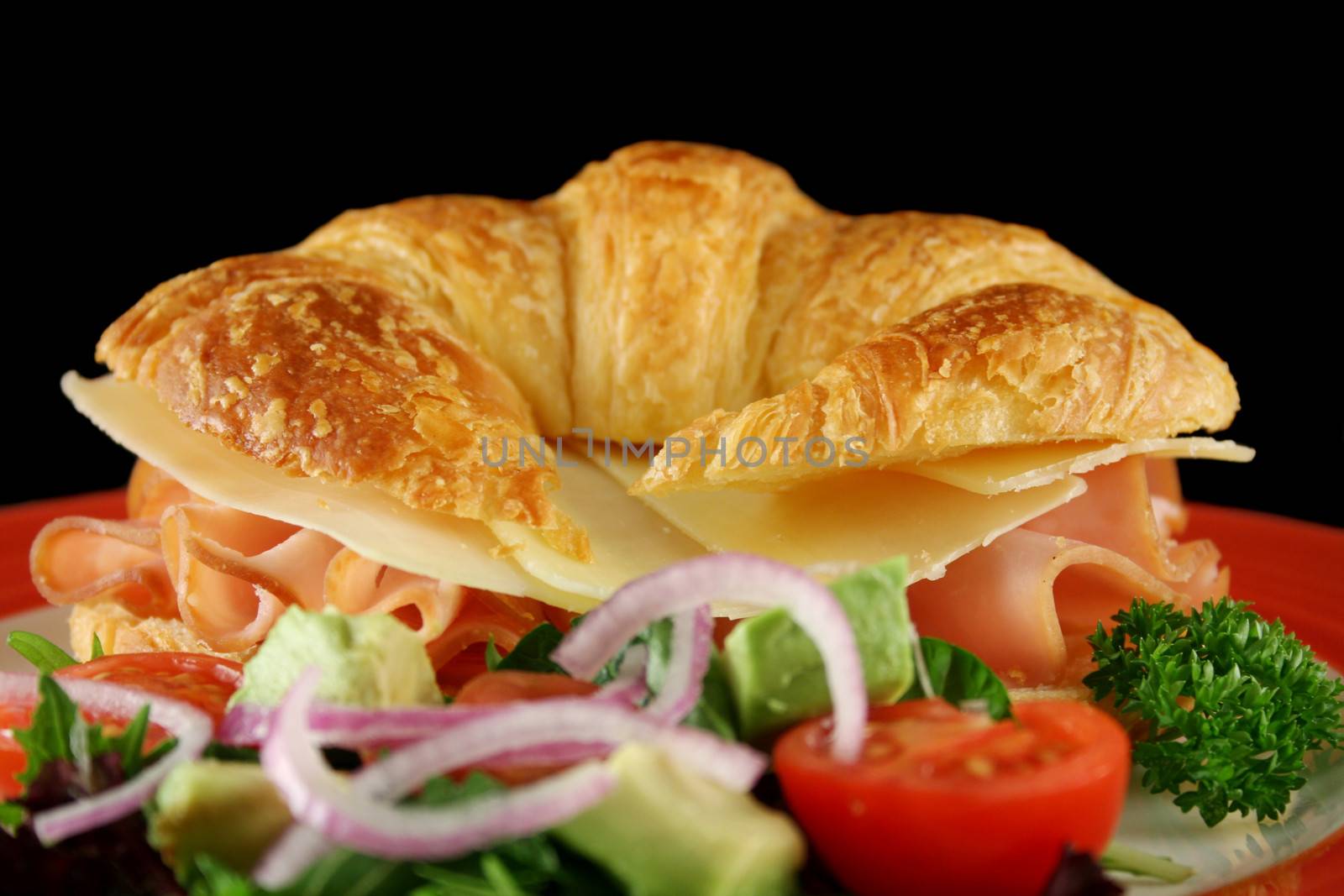 Delicious ham and cheddar cheese croissant with salad.