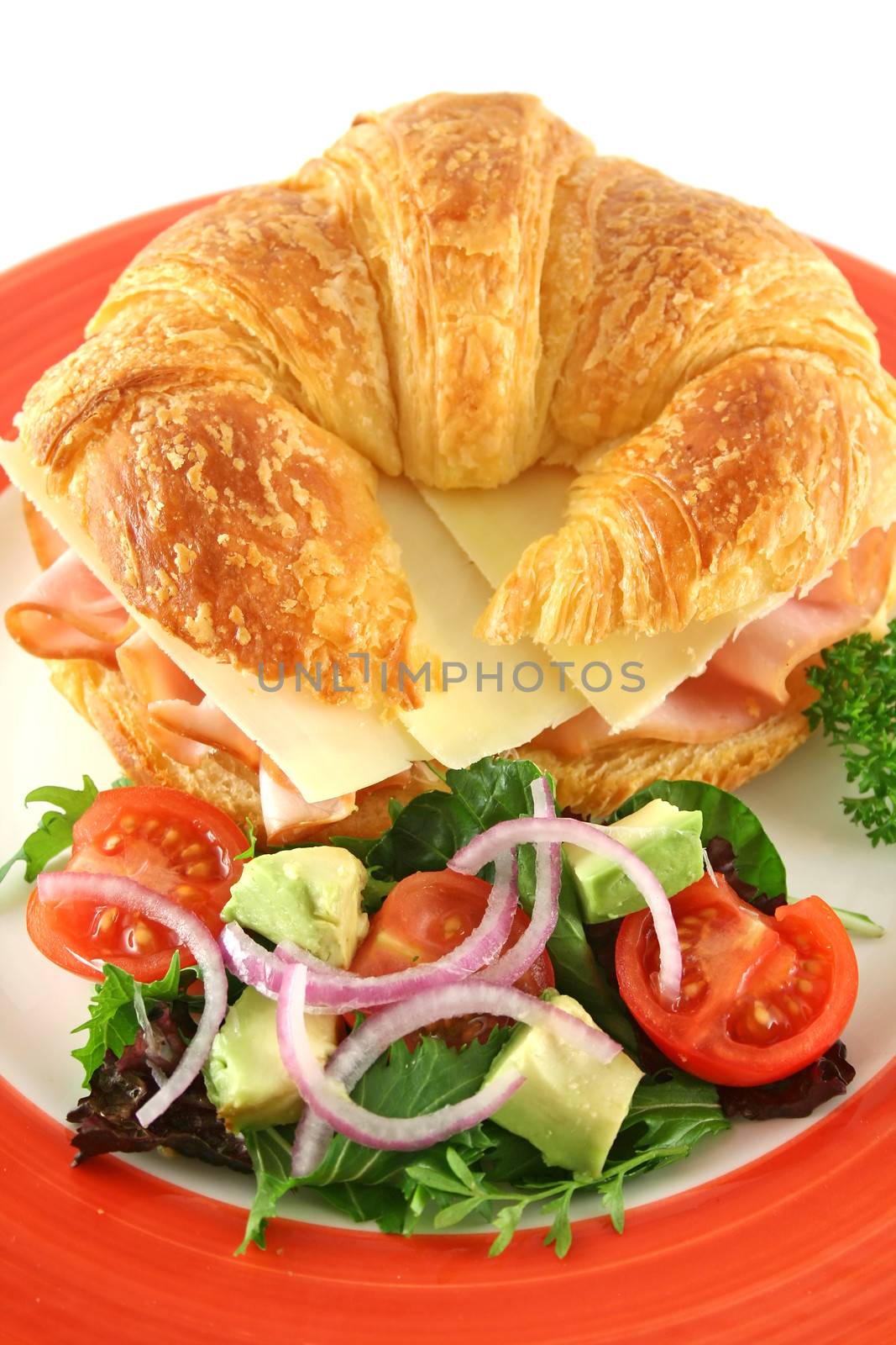 Delicious ham and cheddar cheese croissant with salad.