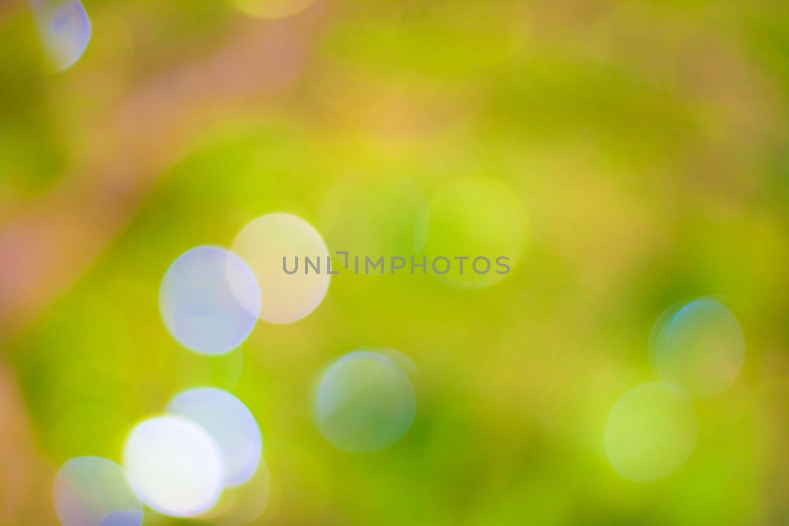 bokeh blurred out of focus background  by nikky1972