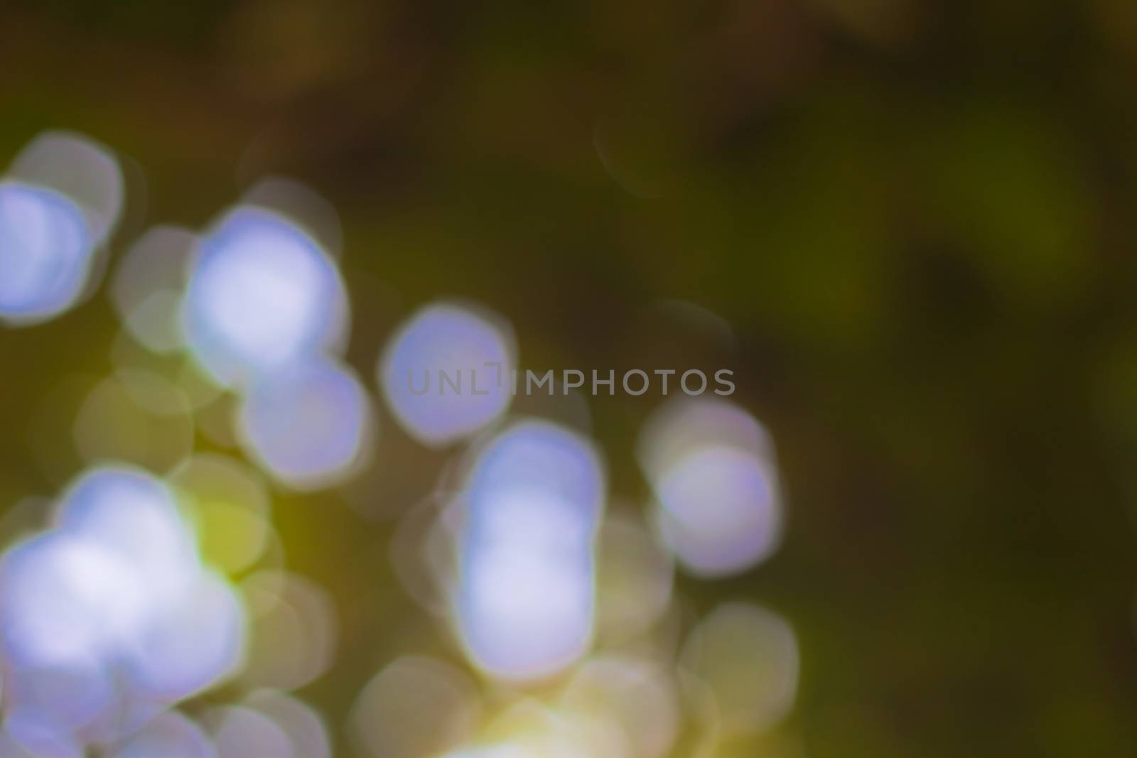 bokeh blurred out of focus background