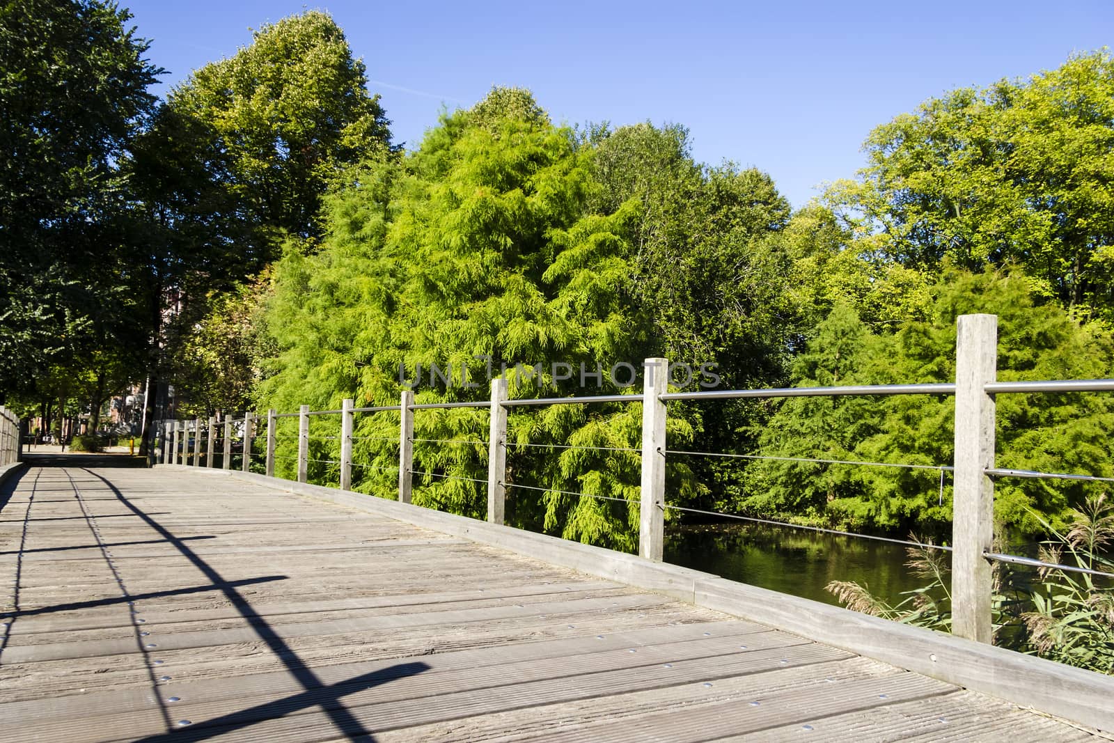 Wooden bridge in green garden in the afternoon