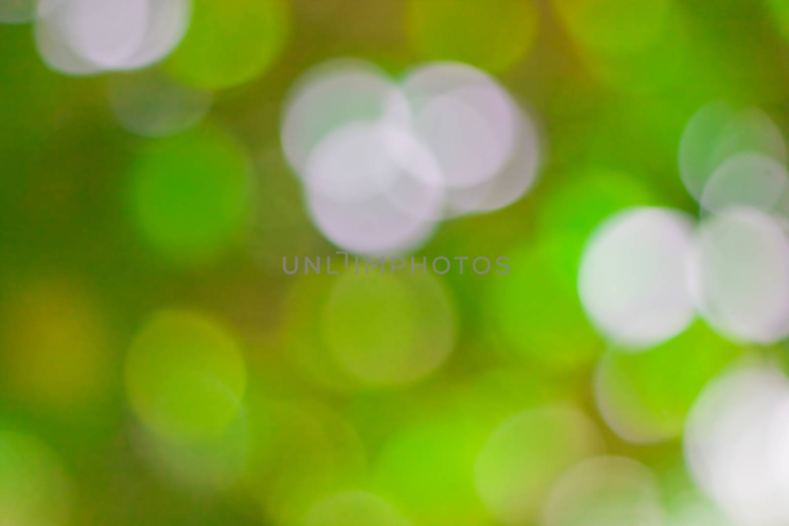 bokeh blurred out of focus background