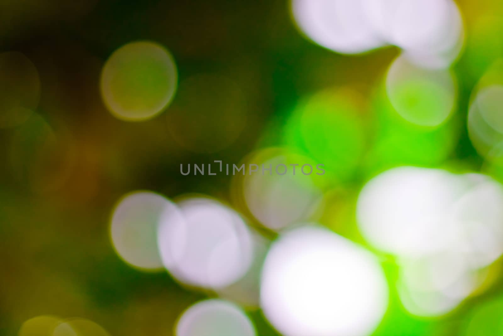 bokeh blurred out of focus background