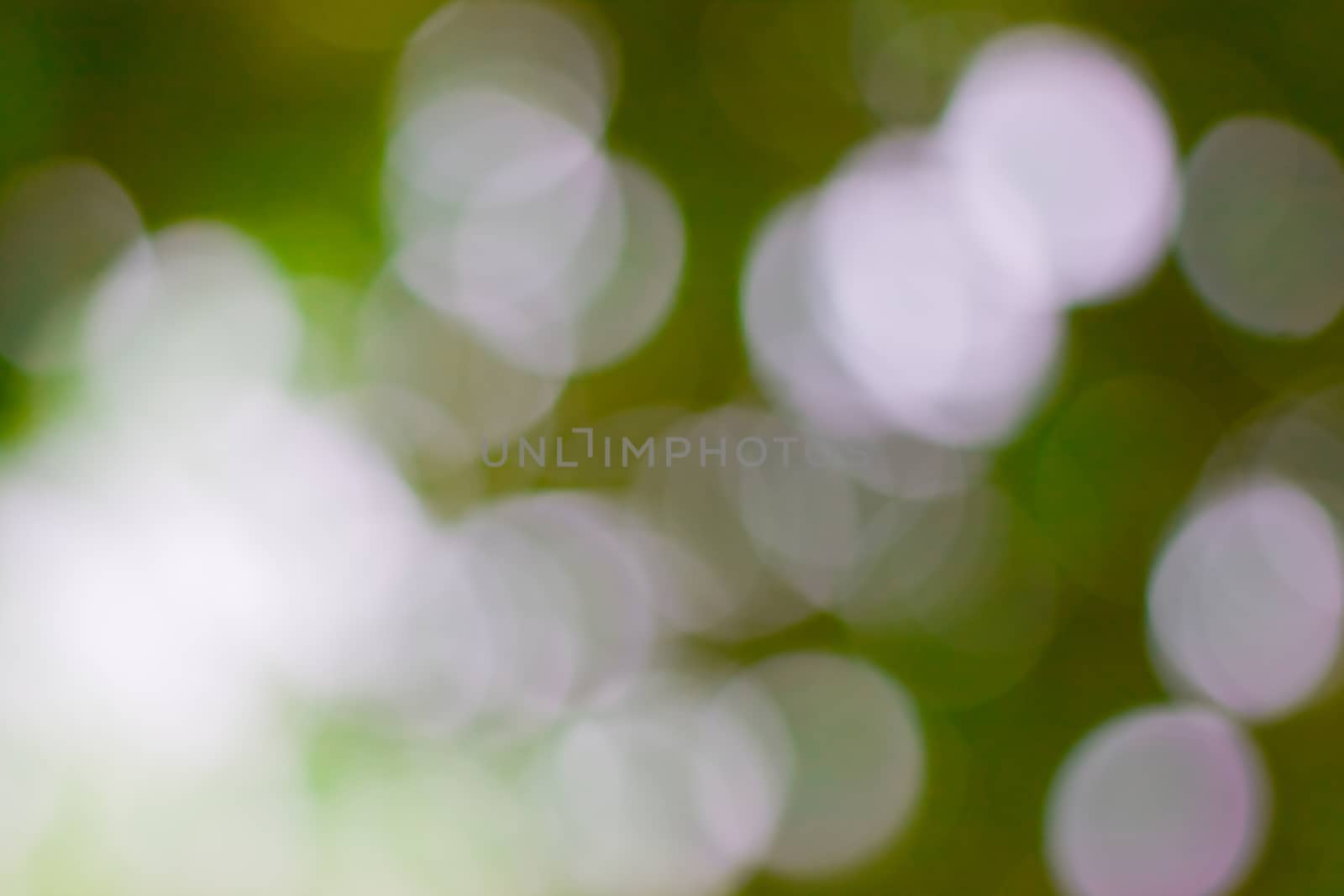 bokeh blurred out of focus background