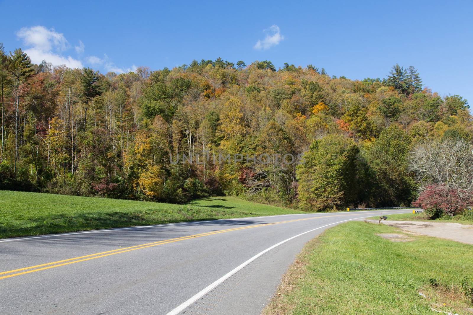 Drive into Atumn Forests by picturyay