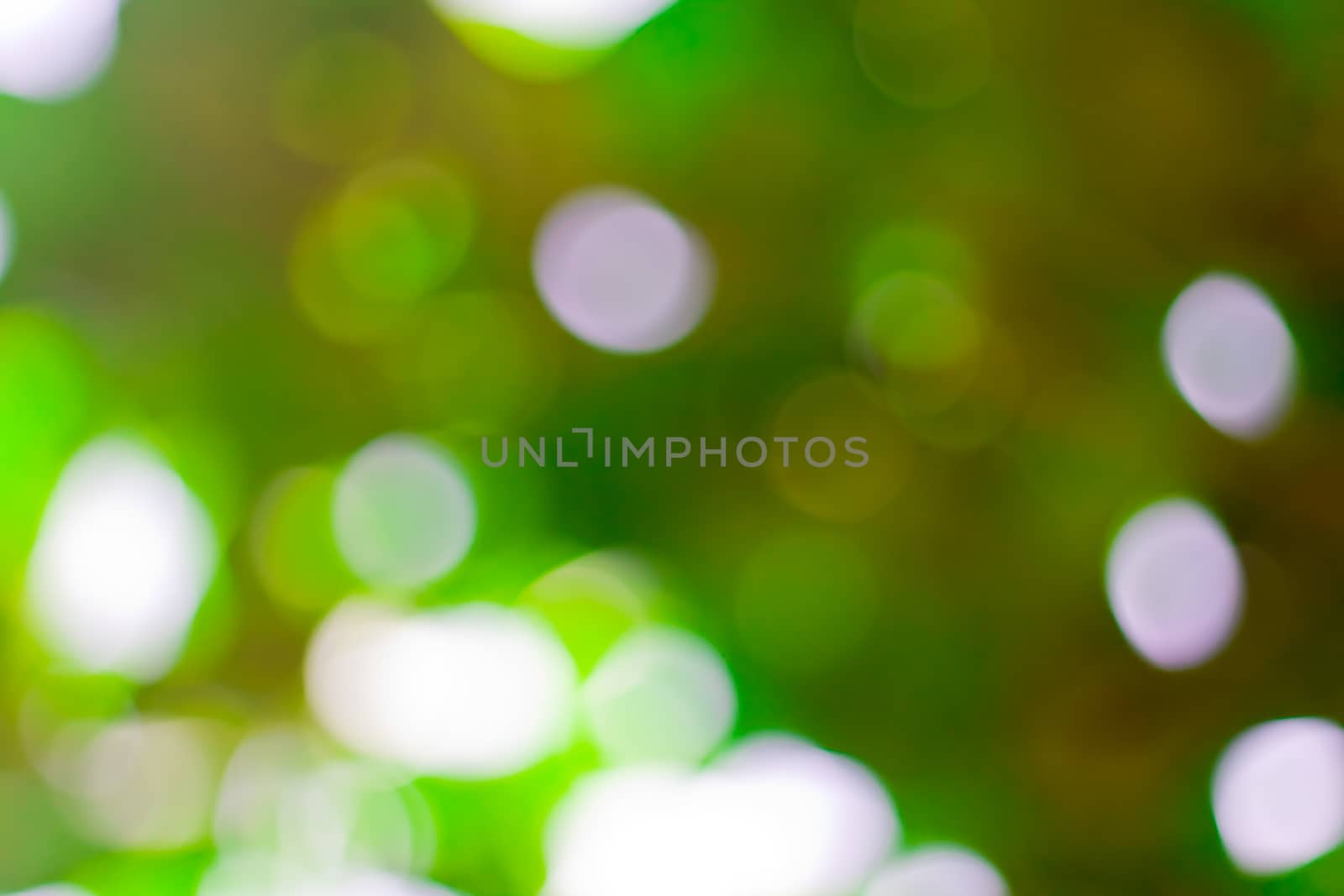 bokeh blurred out of focus background