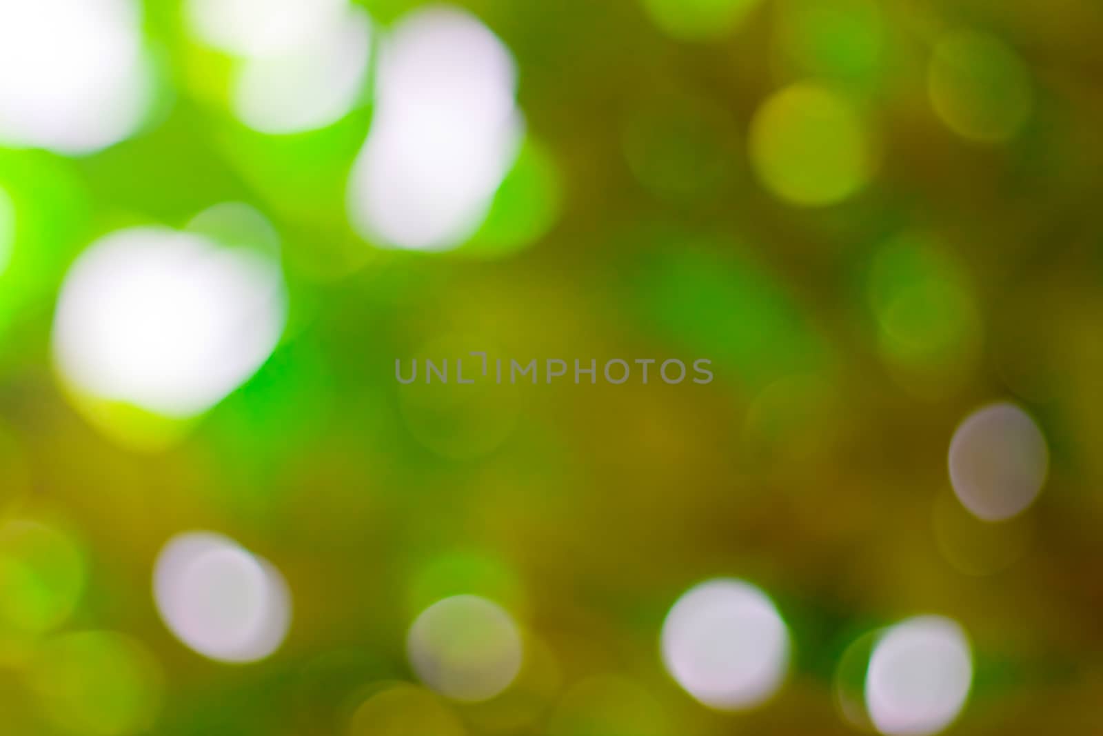 bokeh blurred out of focus background  by nikky1972