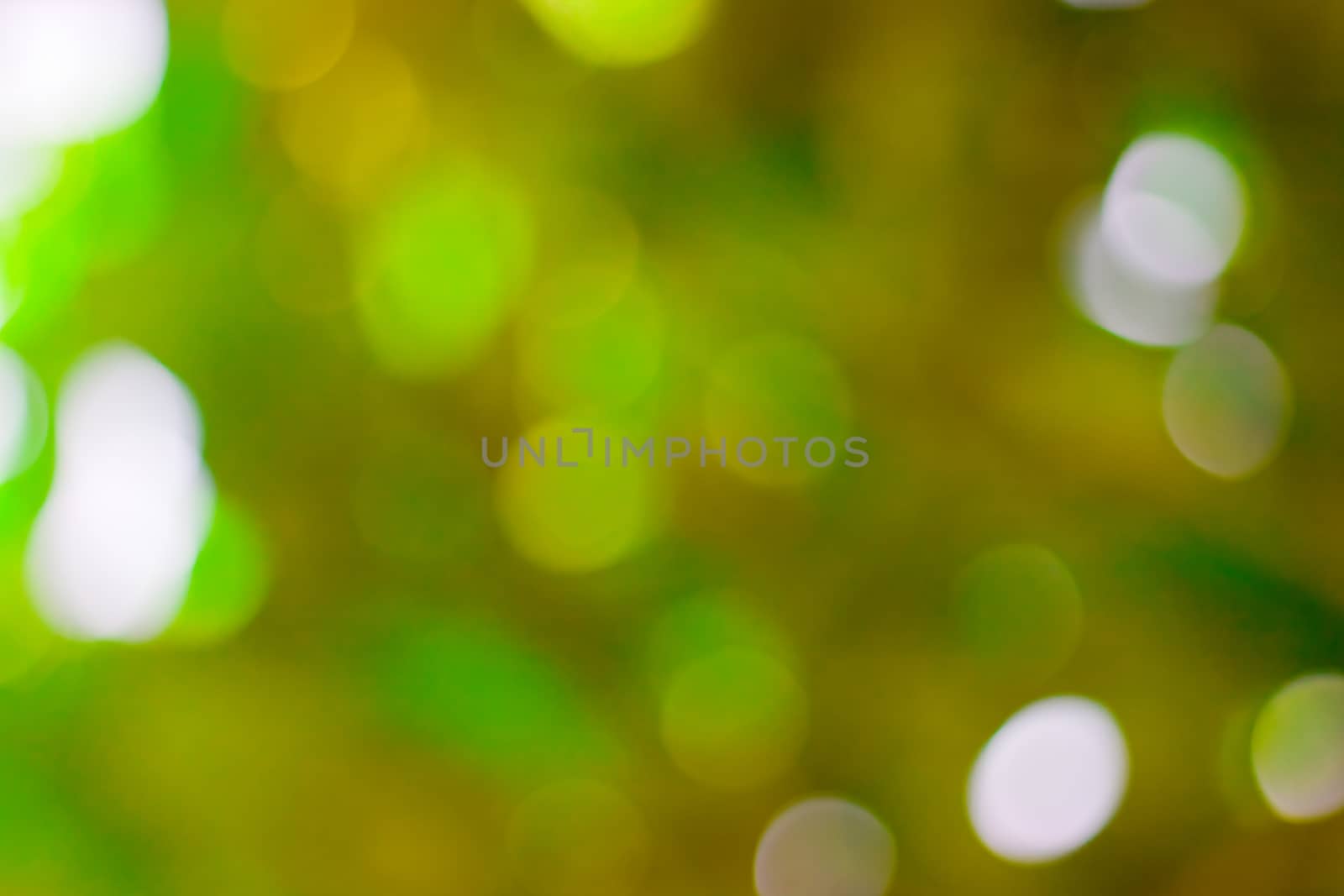 bokeh blurred out of focus background