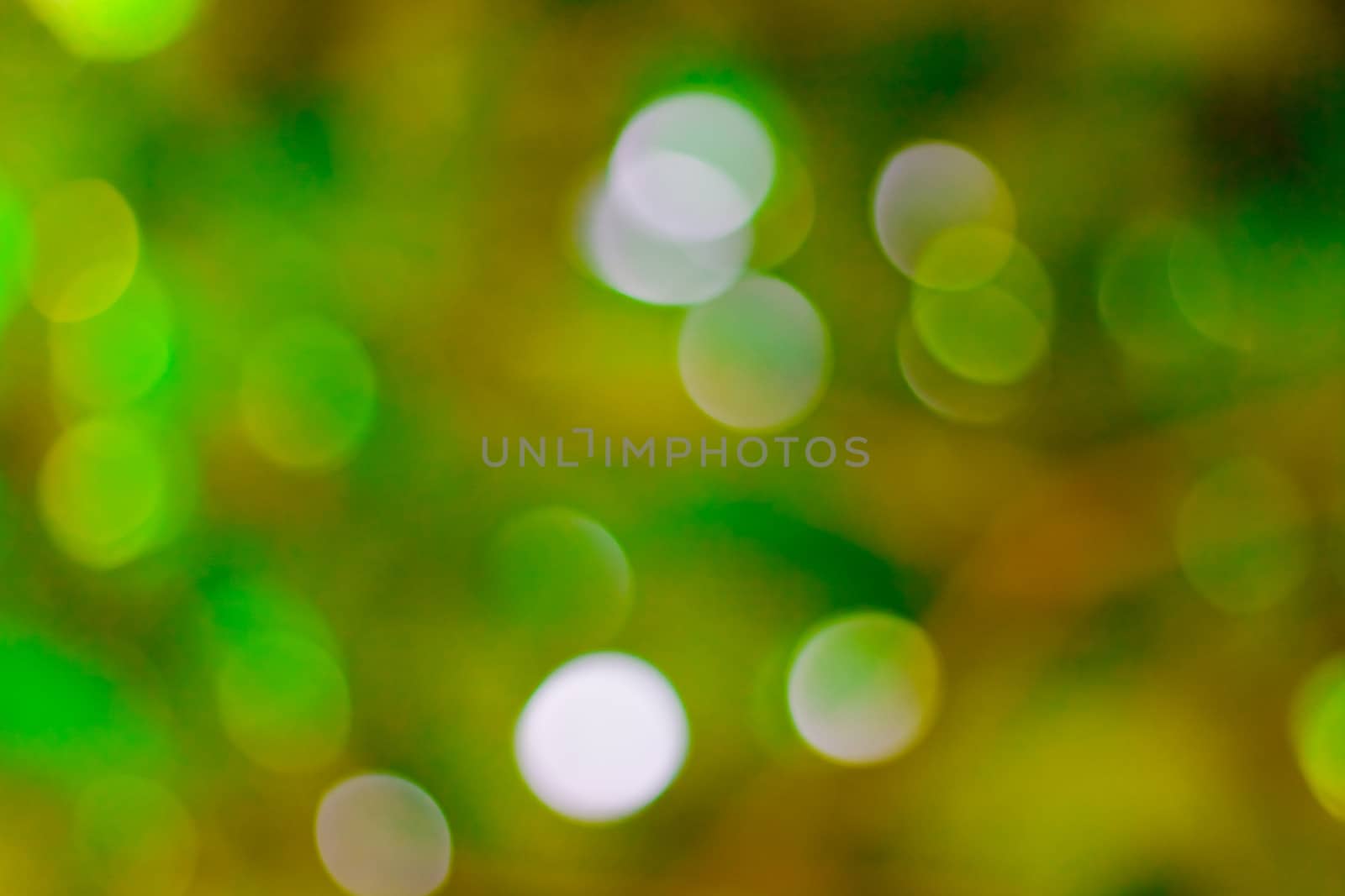 bokeh blurred out of focus background  by nikky1972