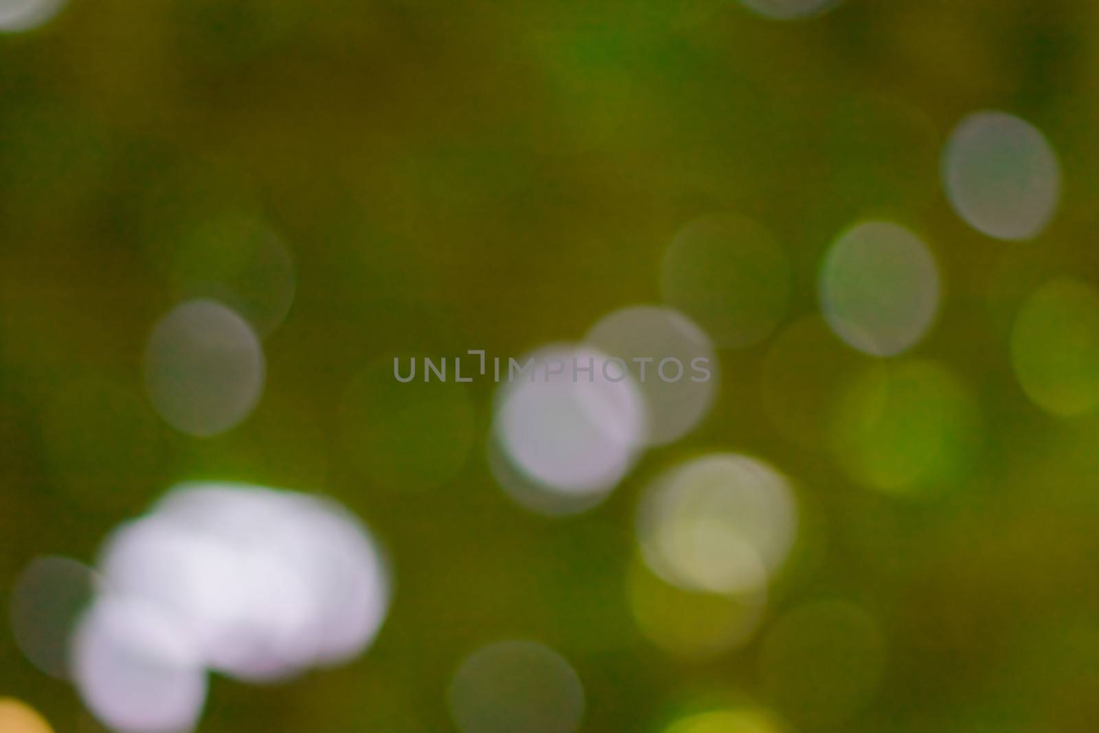 bokeh blurred out of focus background