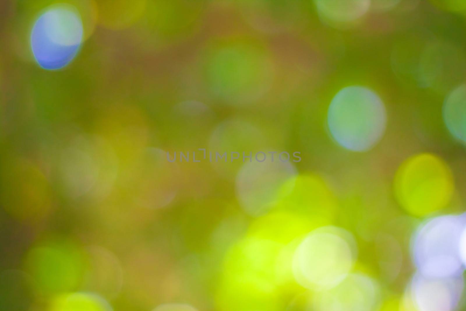 bokeh blurred out of focus background  by nikky1972