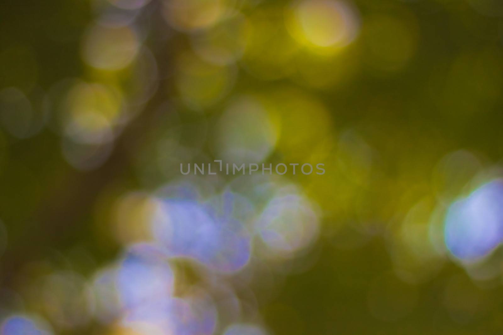 bokeh blurred out of focus background  by nikky1972