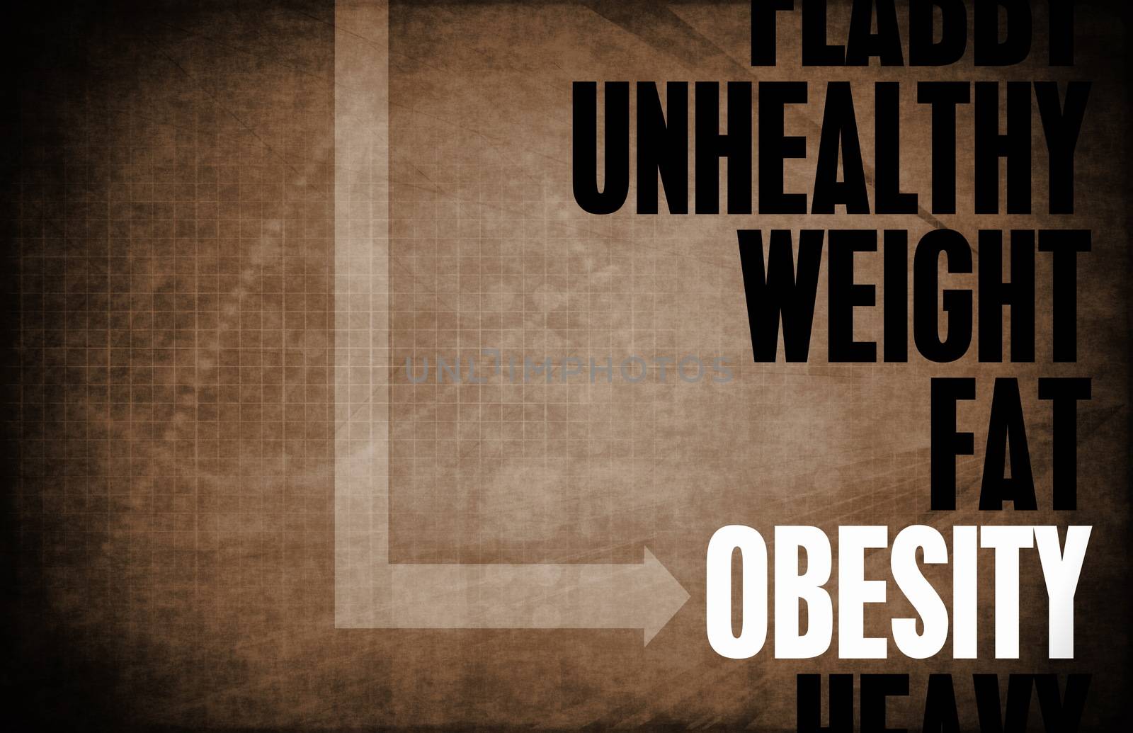 Obesity Core Principles as a Concept Abstract