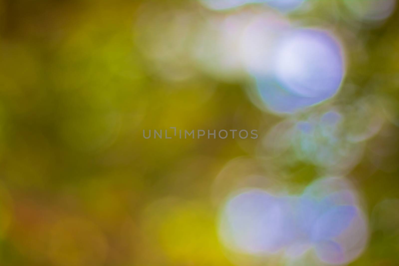 bokeh blurred out of focus background