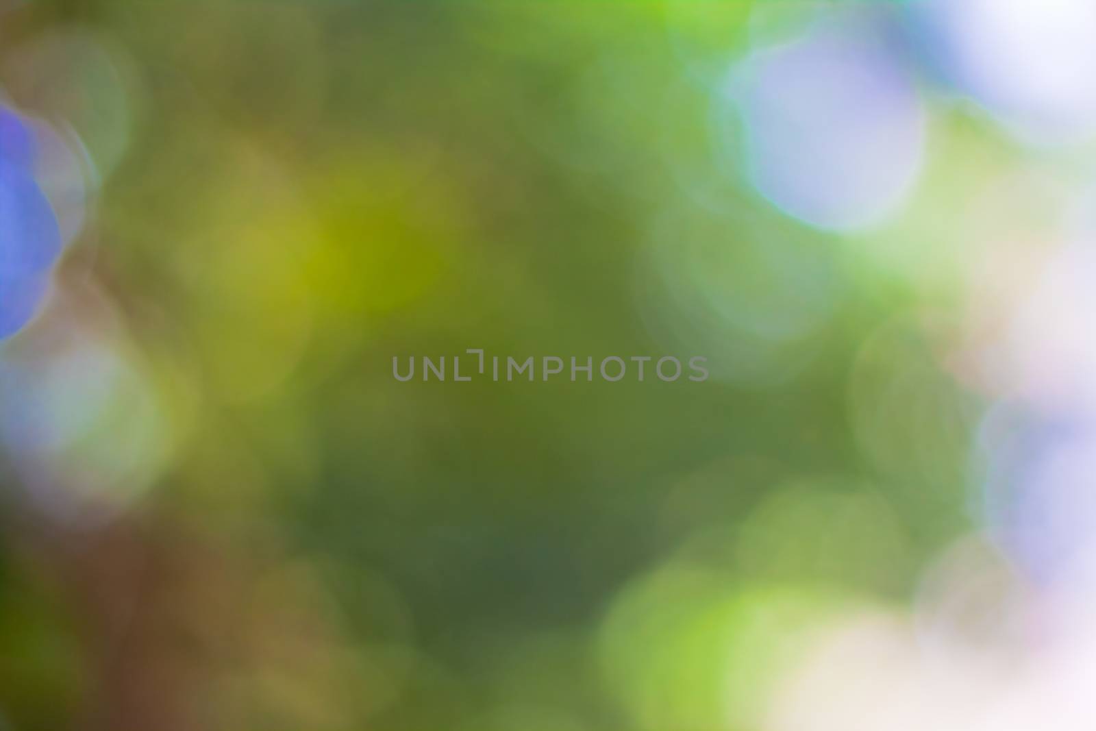 bokeh blurred out of focus background