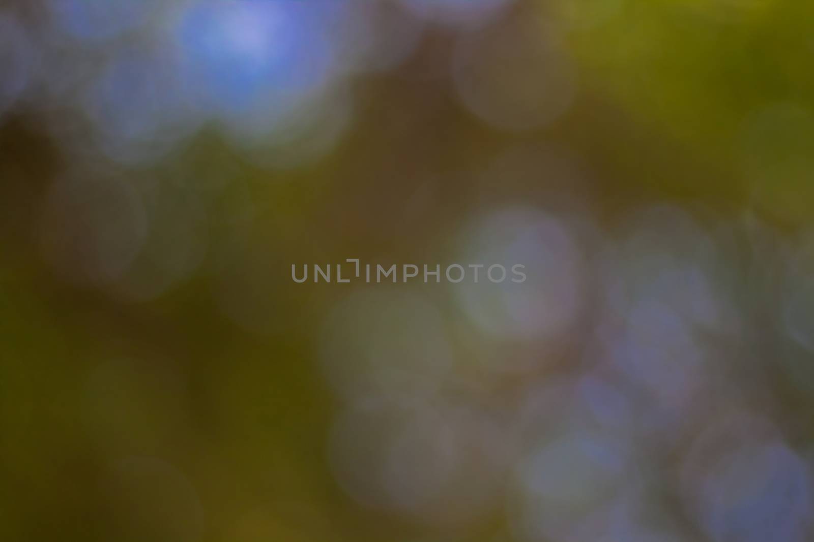 bokeh blurred out of focus background  by nikky1972