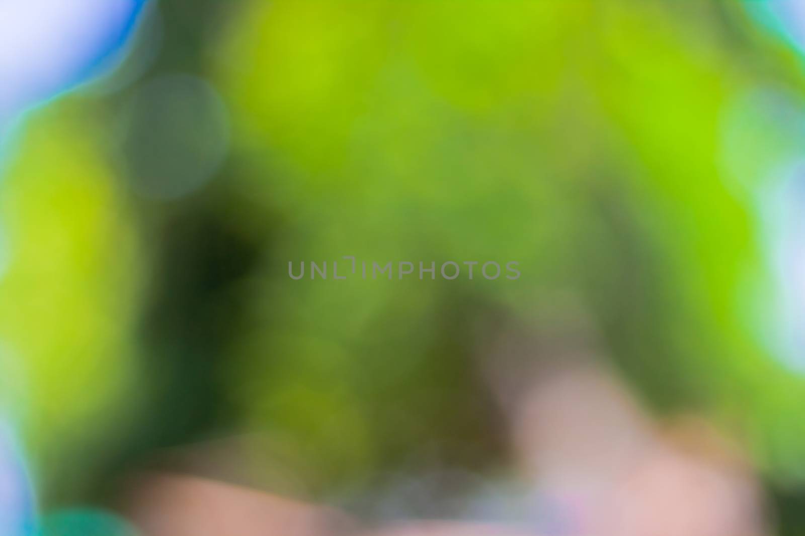 bokeh blurred out of focus background