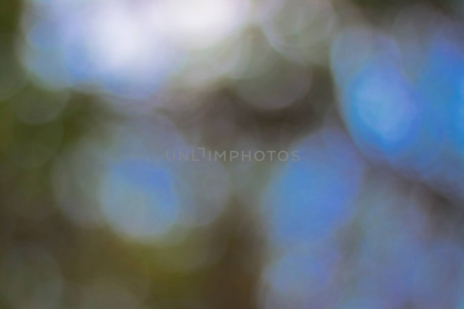 bokeh blurred out of focus background  by nikky1972