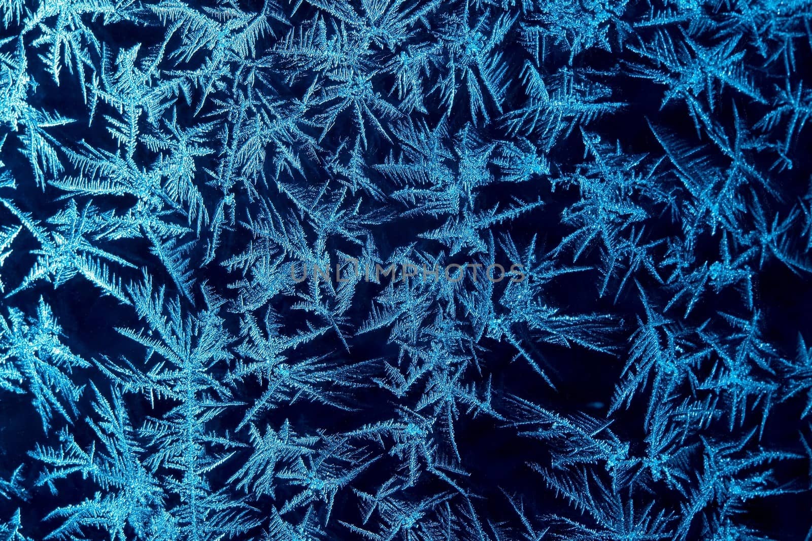 Frost formations on a window with dark background