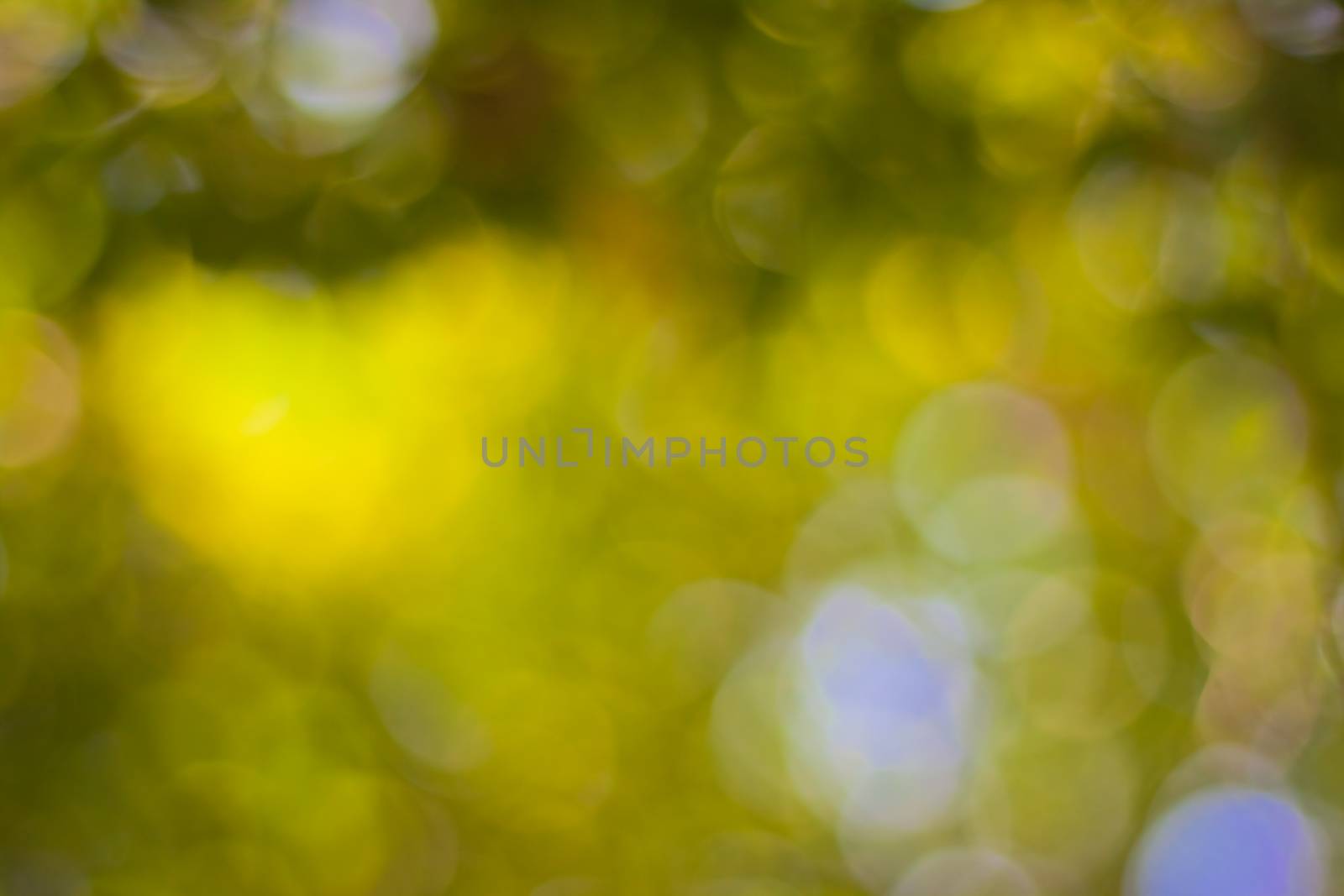 bokeh blurred out of focus background  by nikky1972