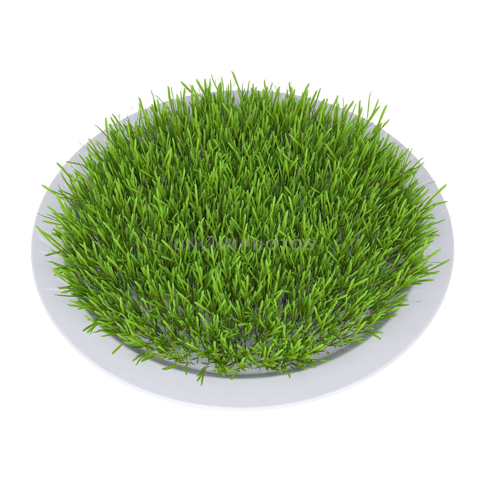 Green grass on a plate. Isolated render on a white background