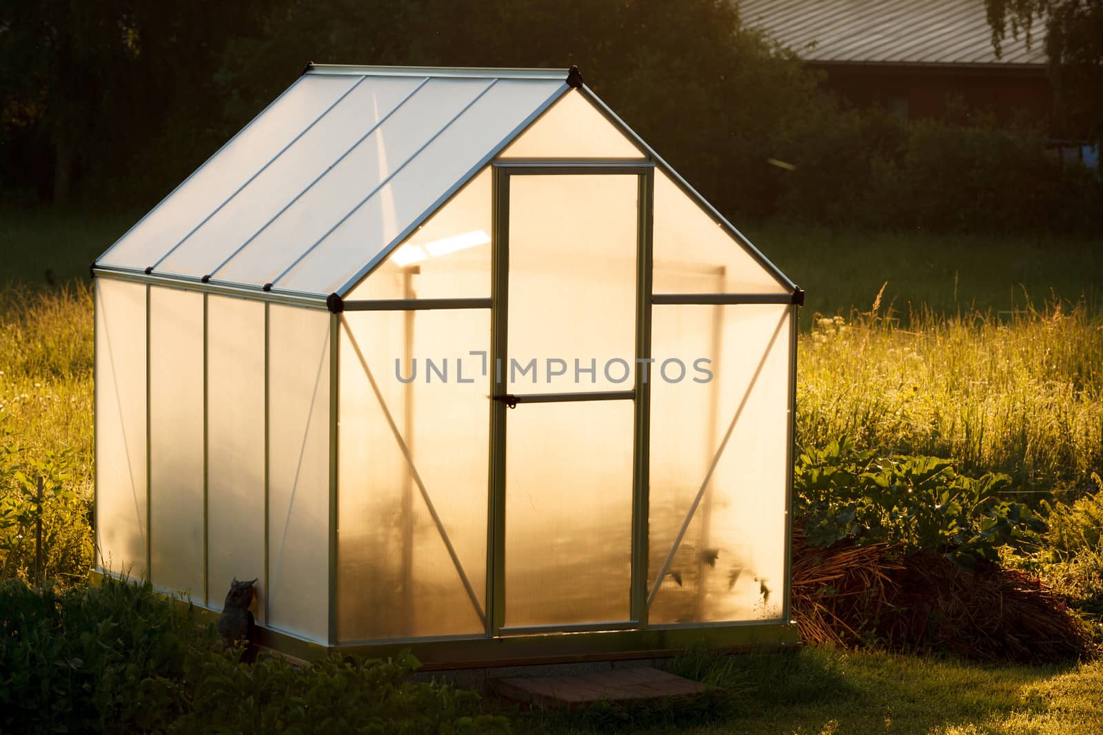 Small greenhouse in backyard by juhku