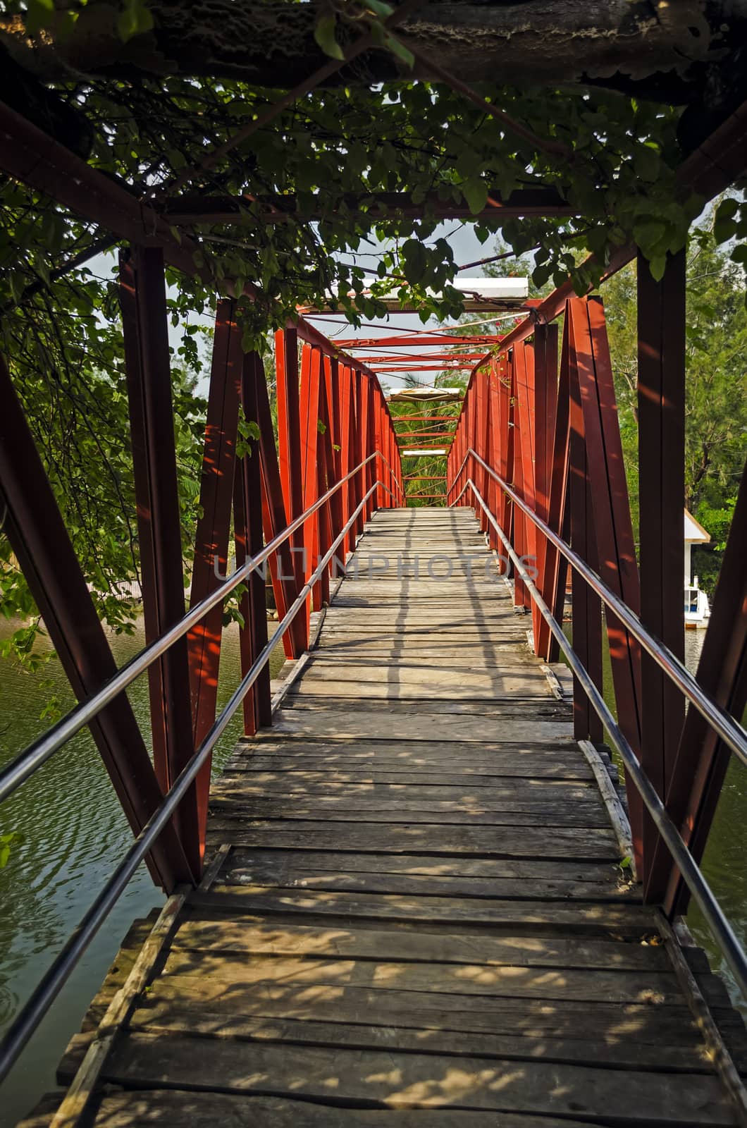 Hanging bridge in a park