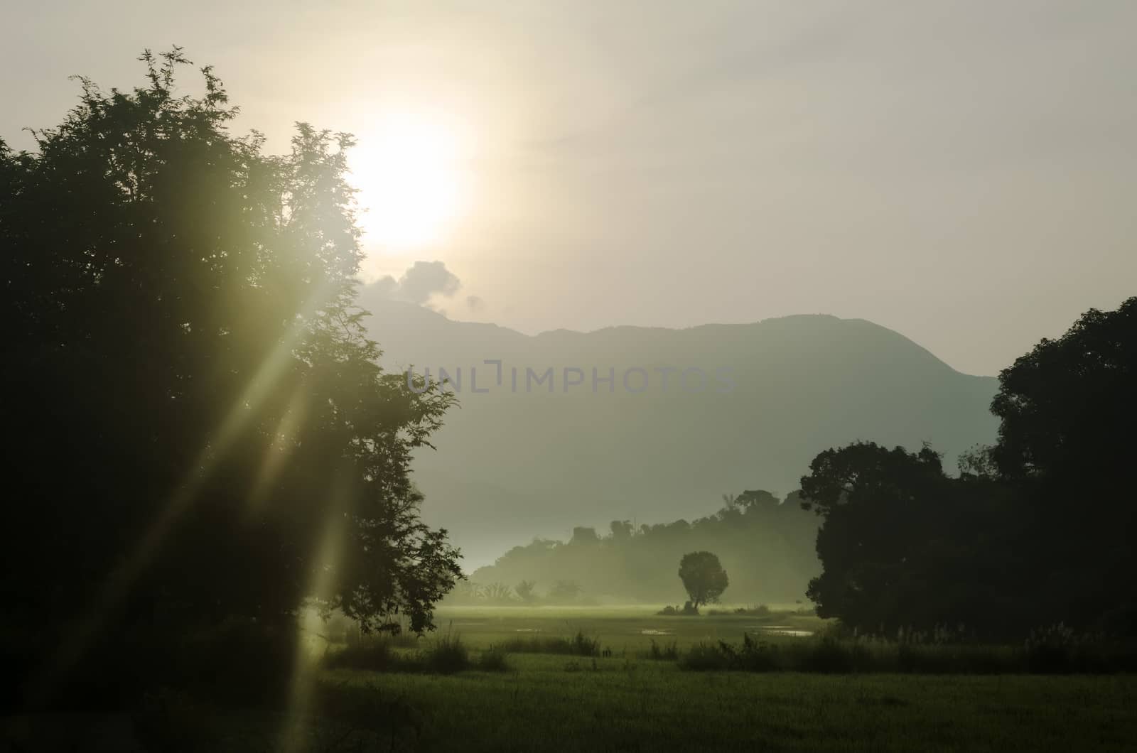 Trees, farm, and mountains during sunrise in Northern Luzon, Philippines