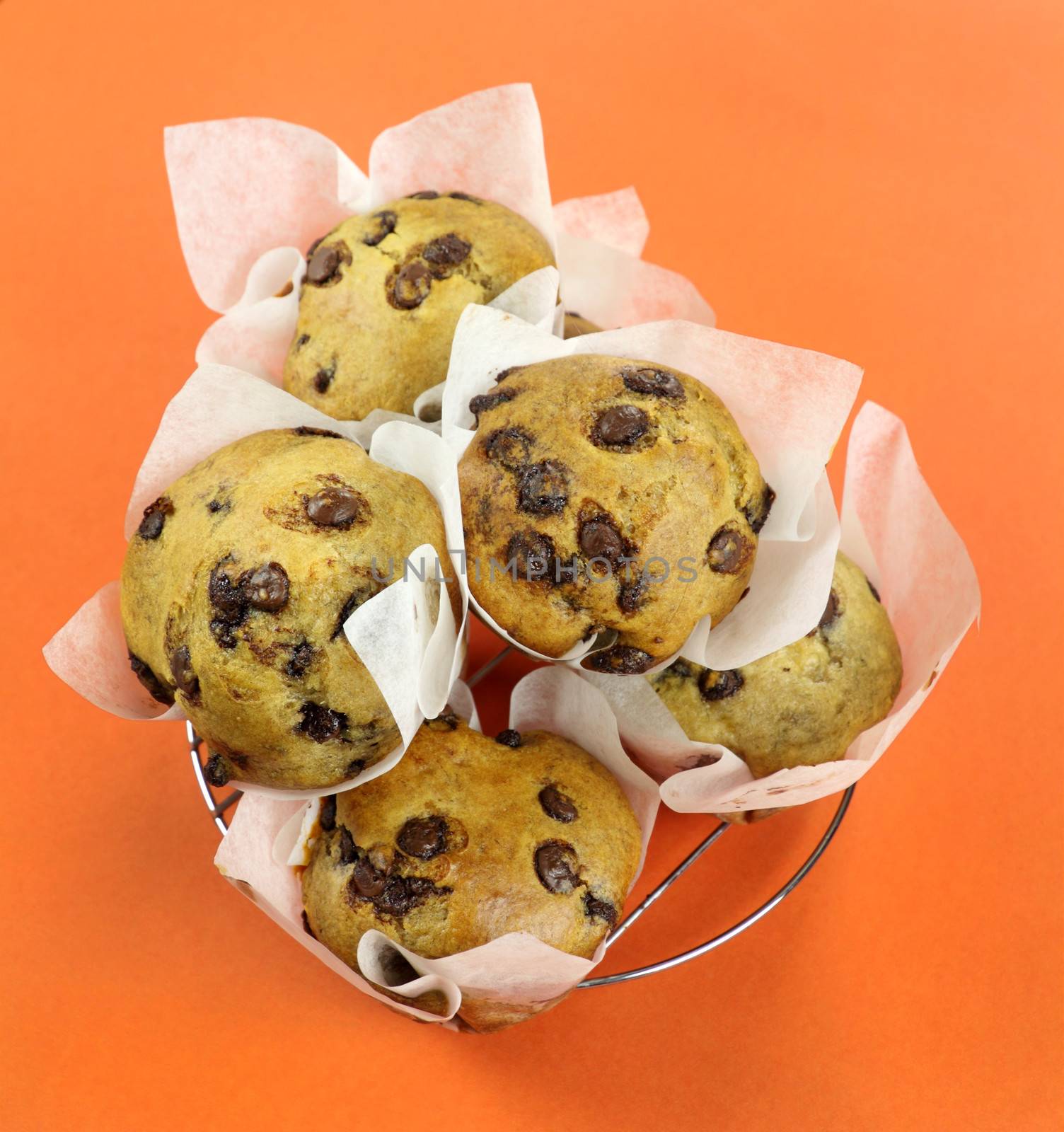 Freshly baked chocolate chip muffins straight from the oven.