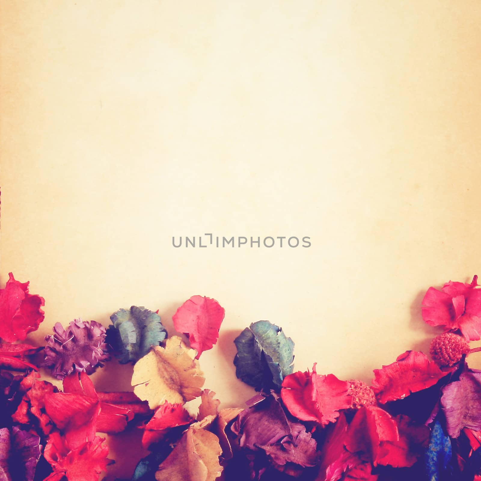old paper background with dry flower, retro filter effect by nuchylee