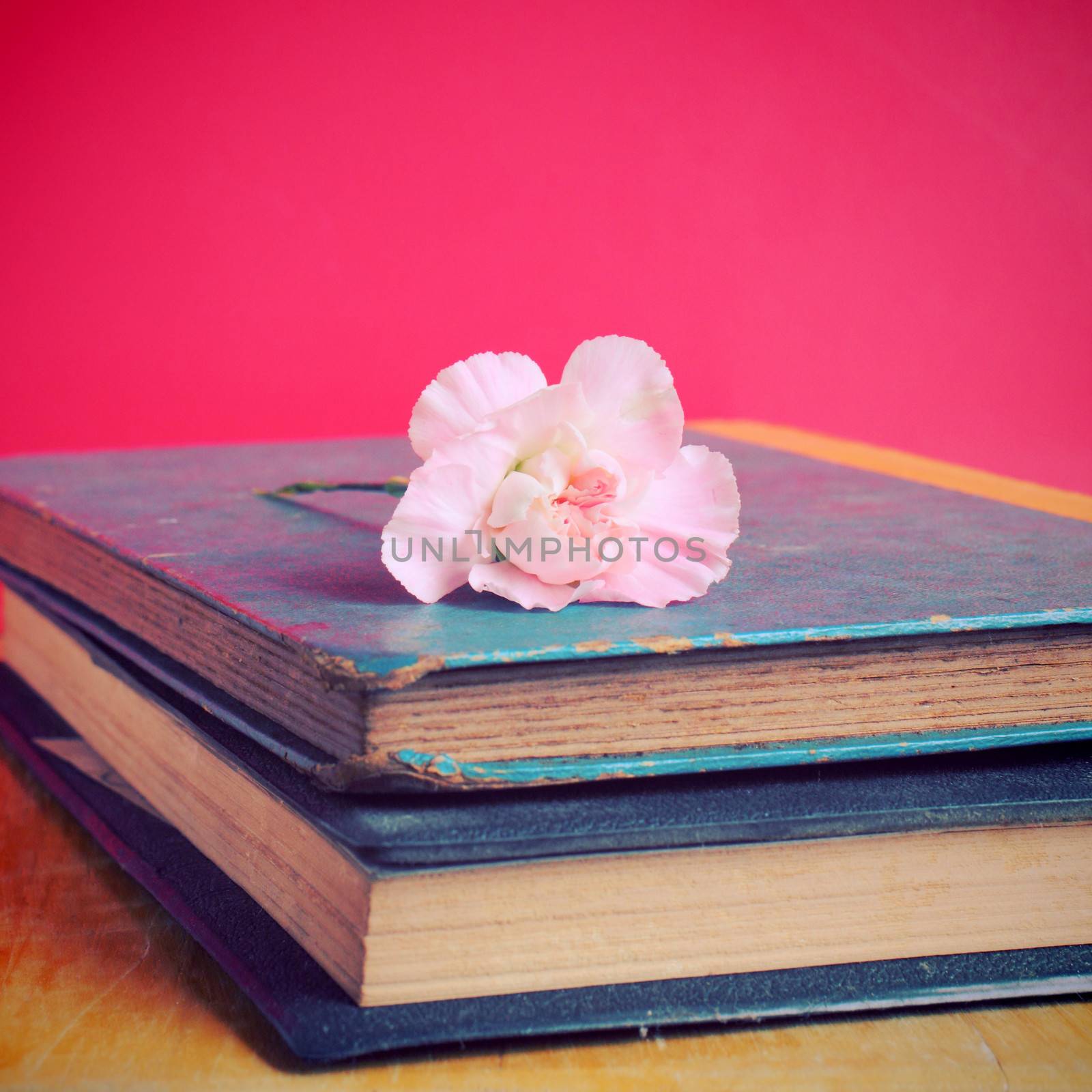 Vintage Books and flower with retro filter effect by nuchylee