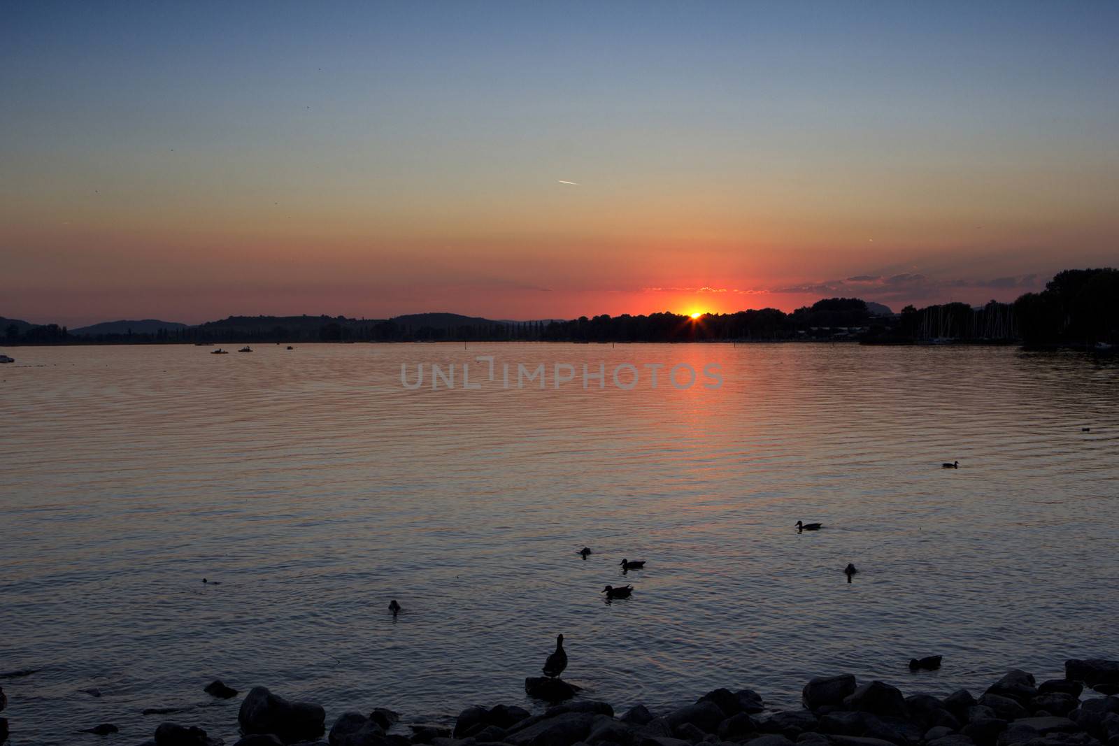 sunset on lake of constance in constance 