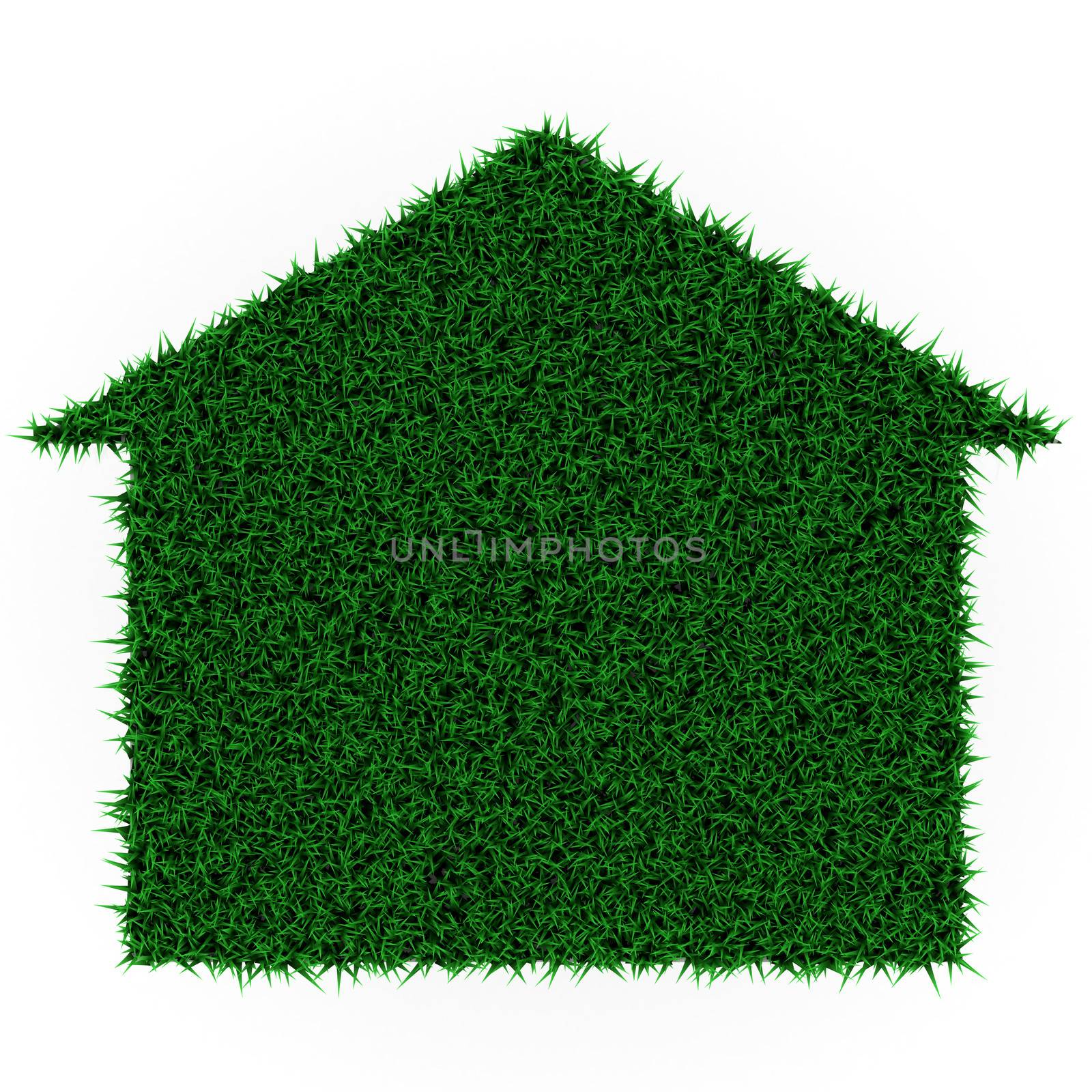 eco grass house on a white background
