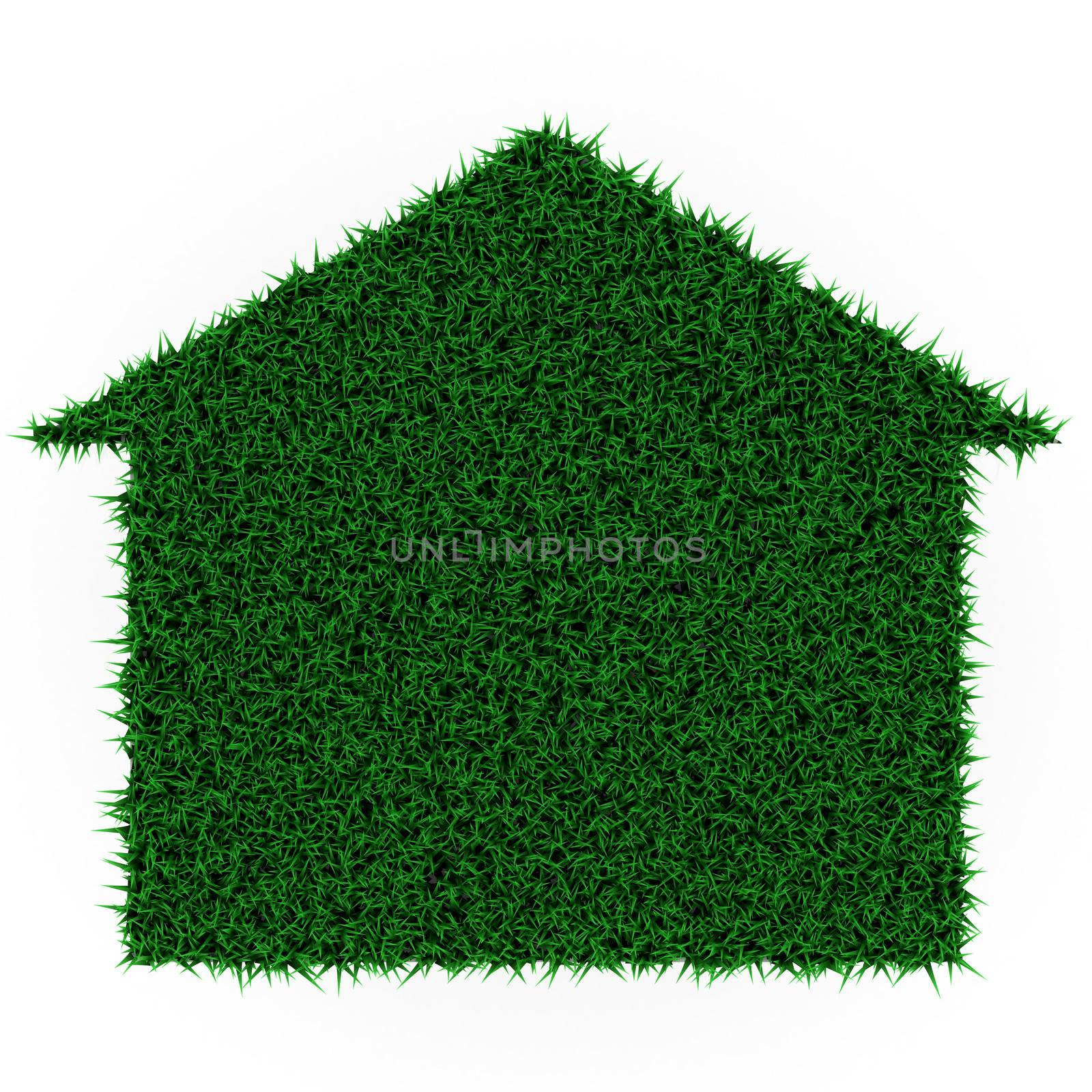 eco grass house on a white background