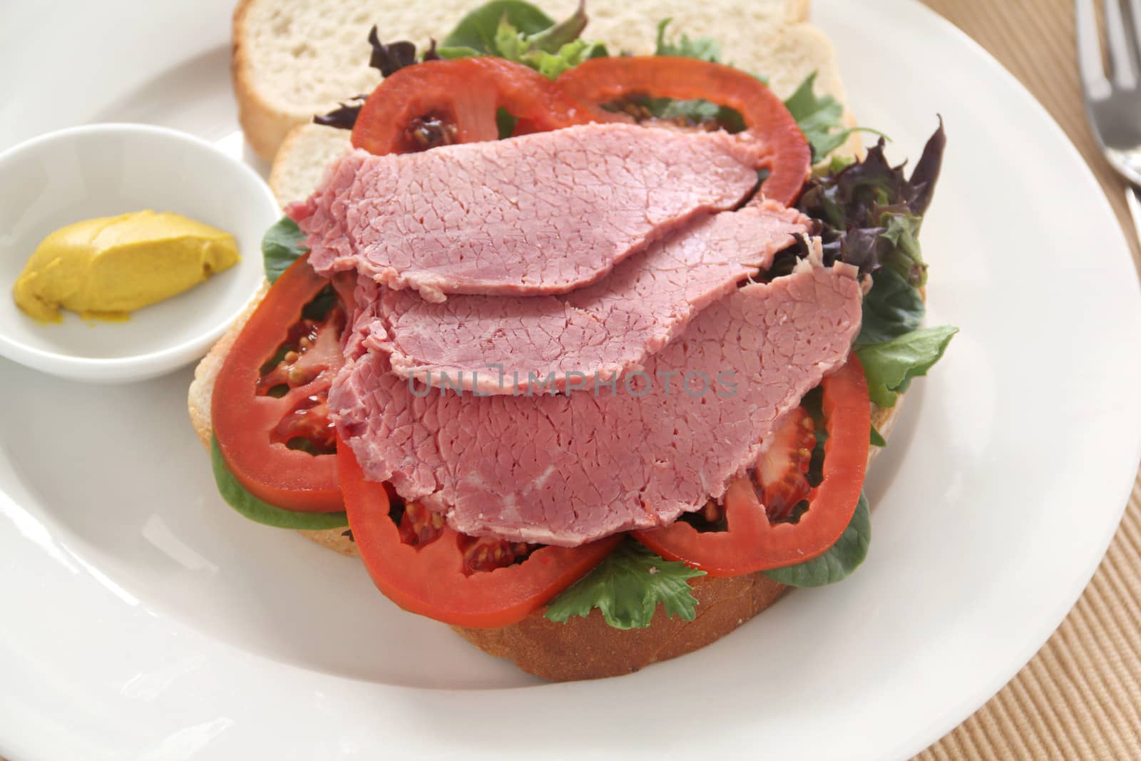 Delicious corned beef open sandwich with mustard and fresh garden salad.